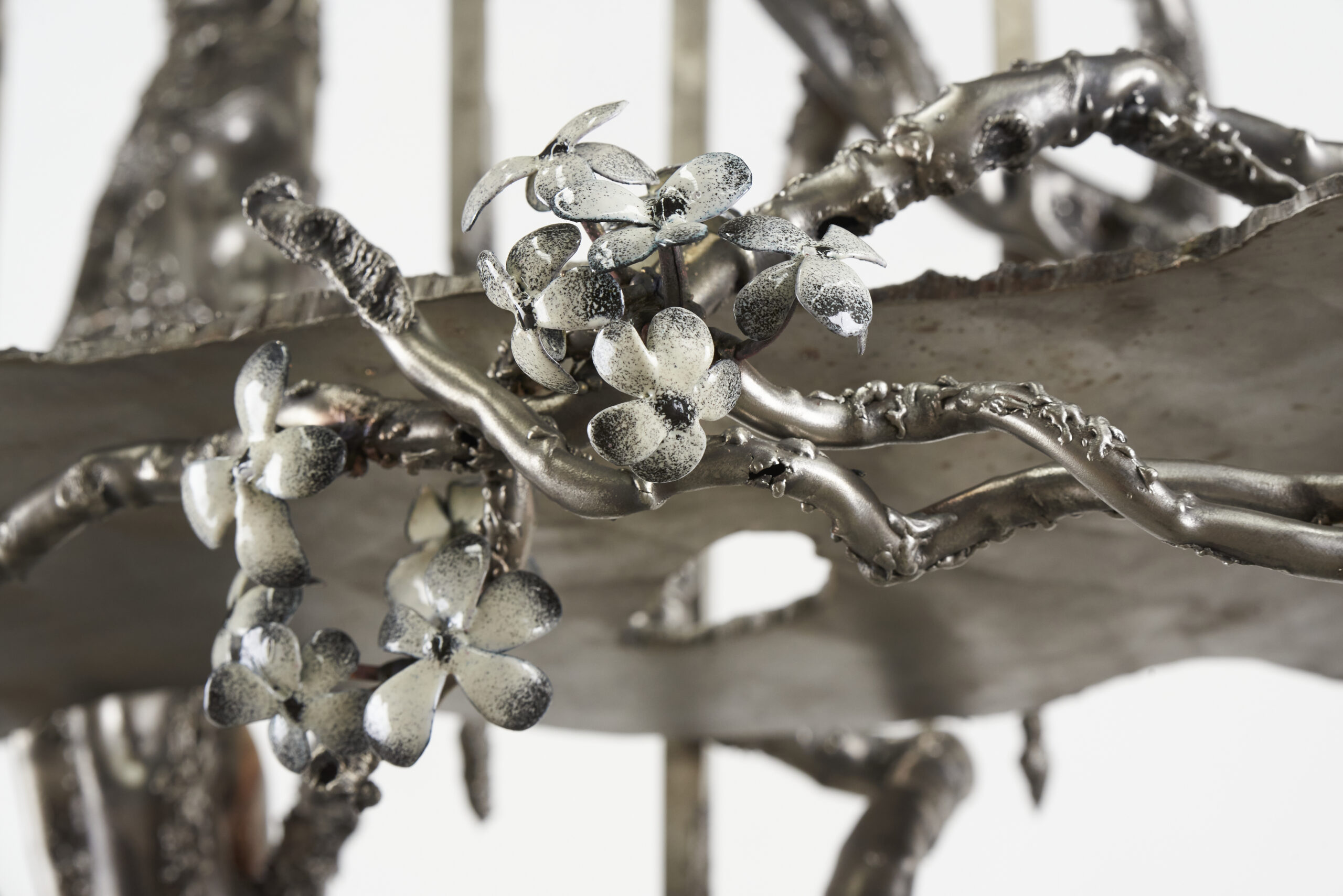 I Found You In The Forest Dreaming Shelves by Michael Gittings 8