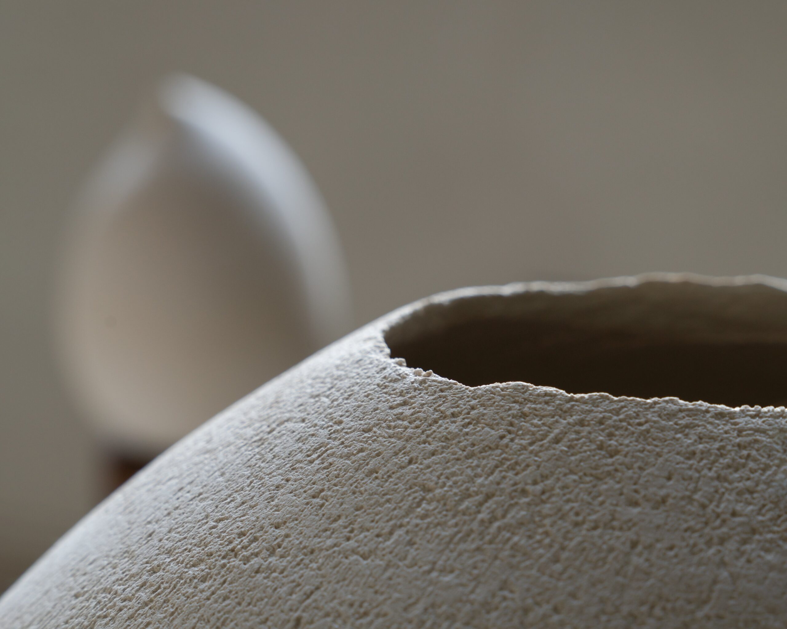 Pitcher by Laura Pasquino 5