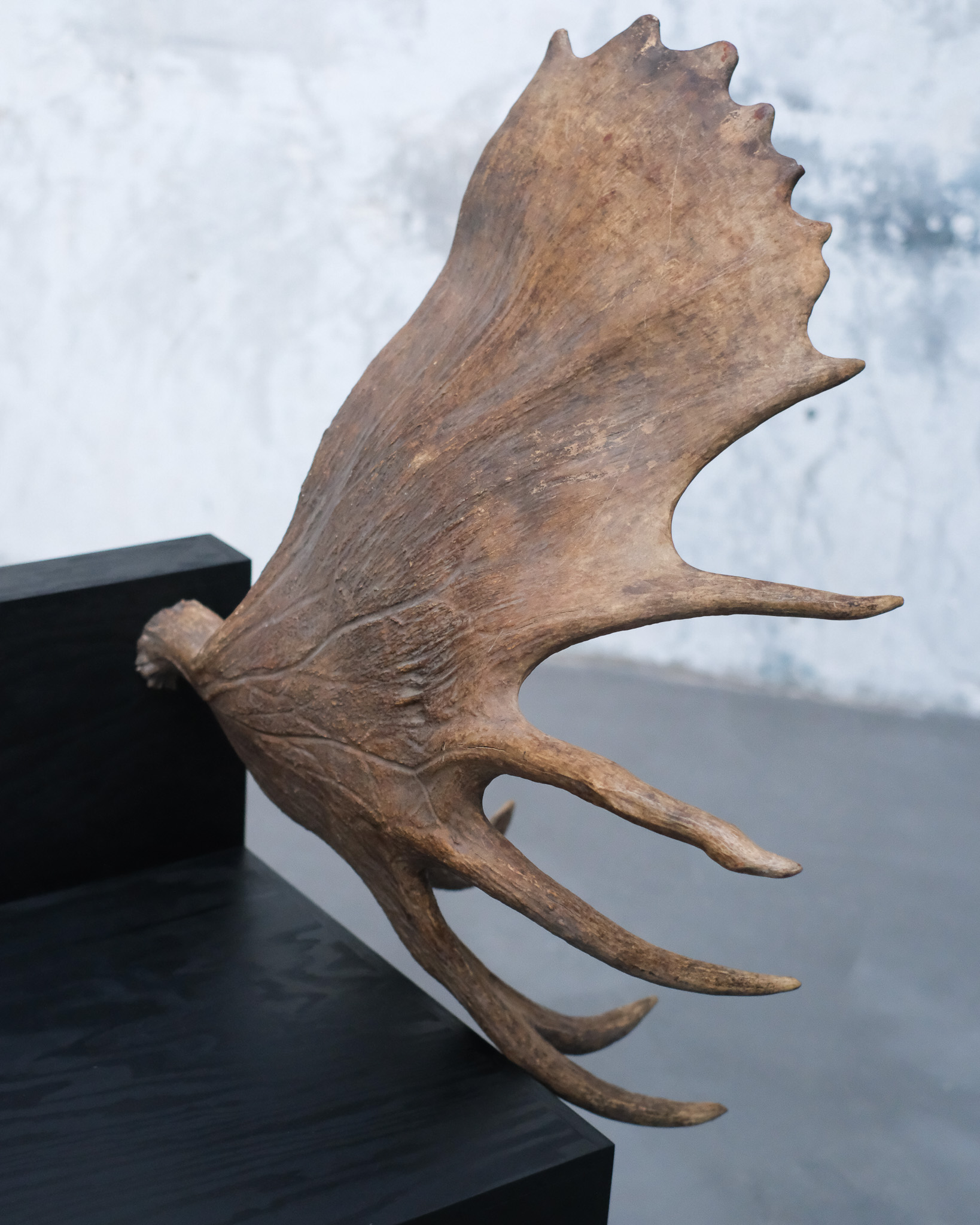 Stag Chair by Rick Owens 10