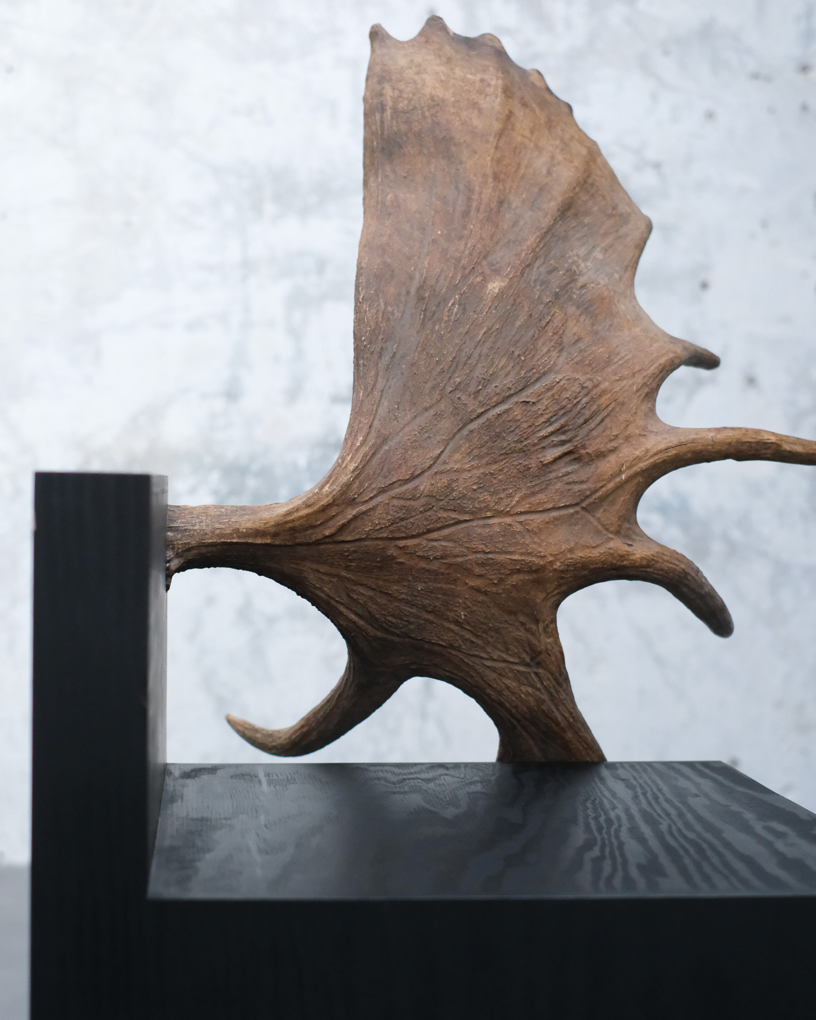 Stag Chair by Rick Owens 8