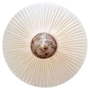 Demoiselle Medium Decorative Wall Sconce by Elsa Foulon