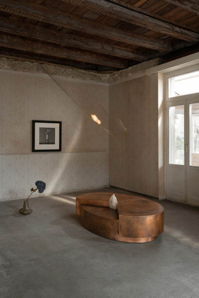 galerie philia floral echoes odes to mapplethorpe zurich 10