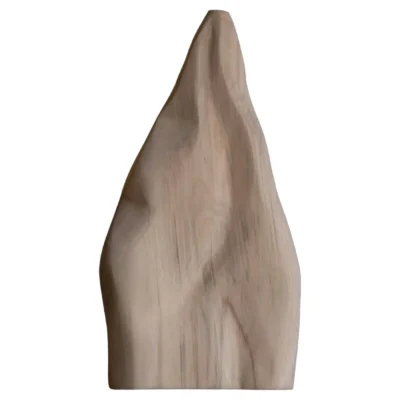 Relief Ash Vase 01 by Alice Lahana Studio