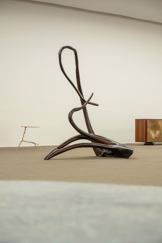 hugo franca escultura uvaia galerie philia 01