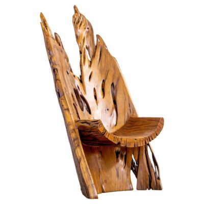 Arinhama Chair in Pequi Wood by Hugo França