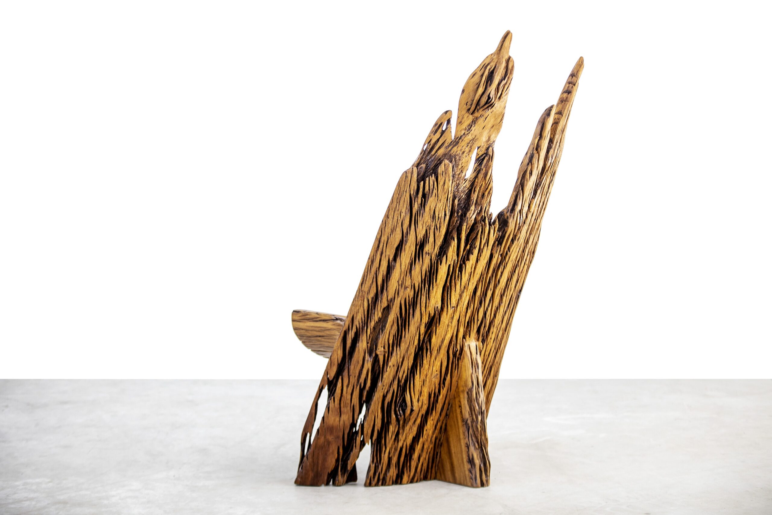 Arinhama Chair in Pequi Wood by Hugo França 2