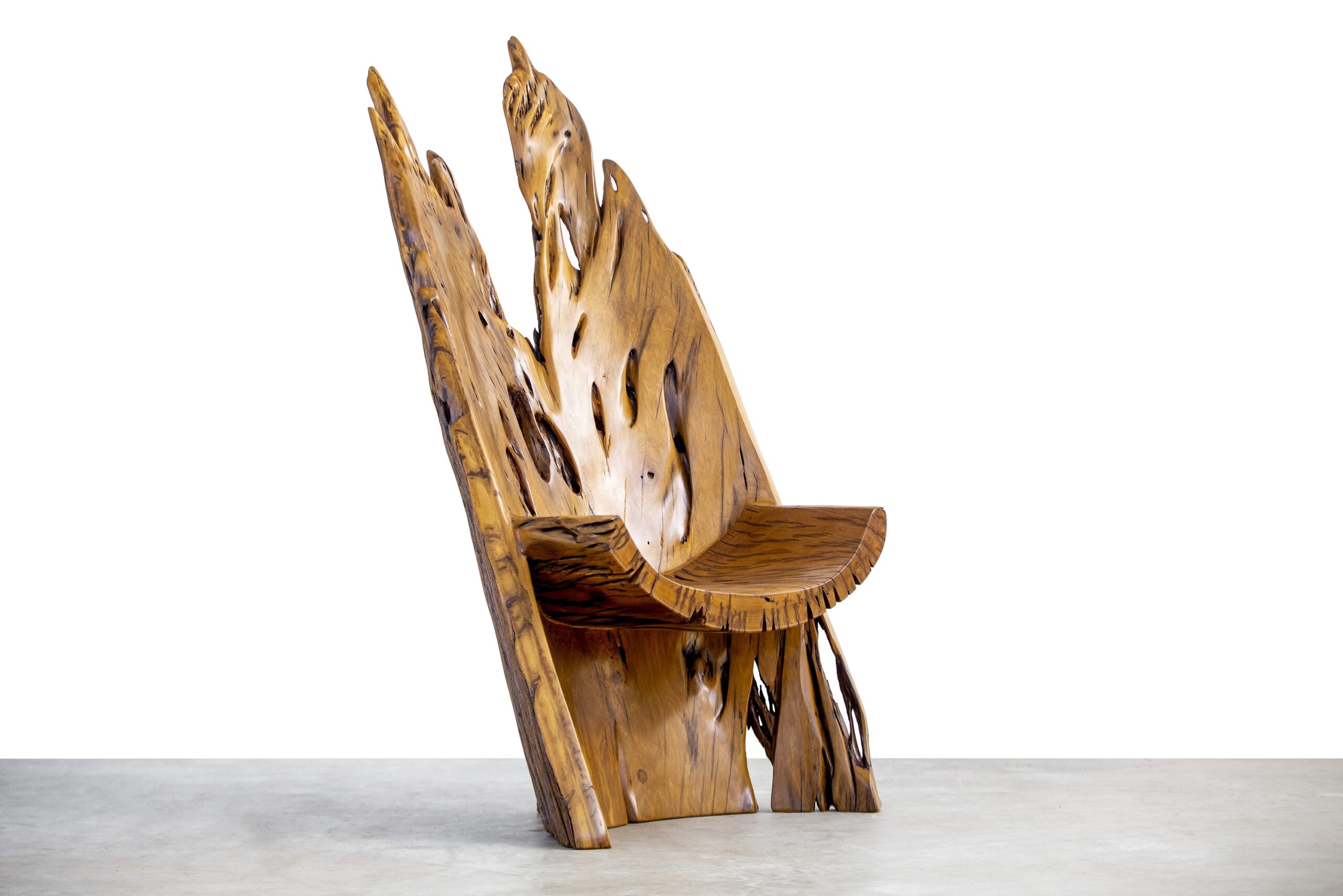 Arinhama Chair in Pequi Wood by Hugo França 3