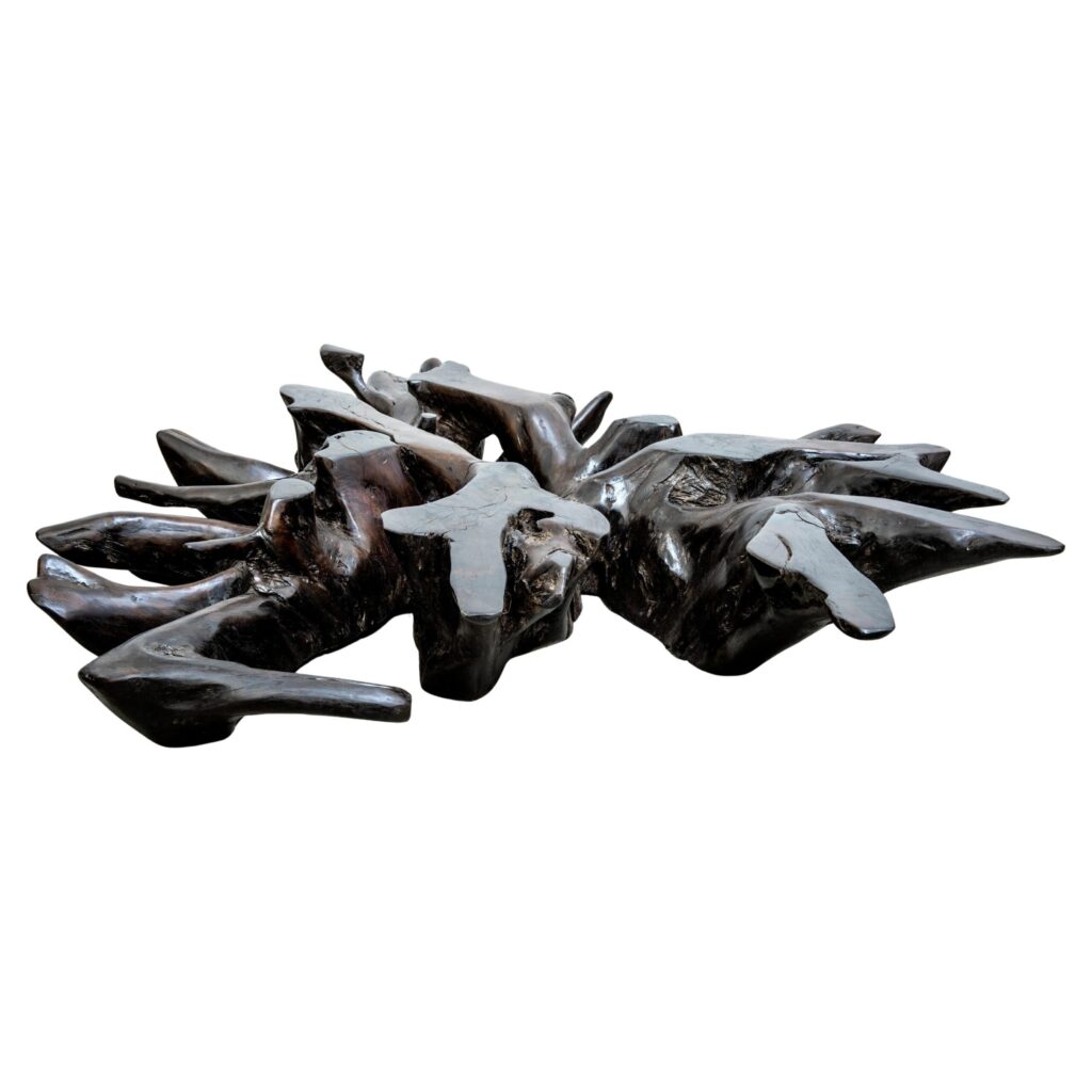 Maracá Base Coffee Table in Barauna Wood by Hugo França 1