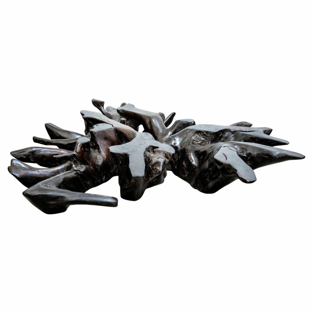 Maracá Base Coffee Table in Barauna Wood by Hugo França 1