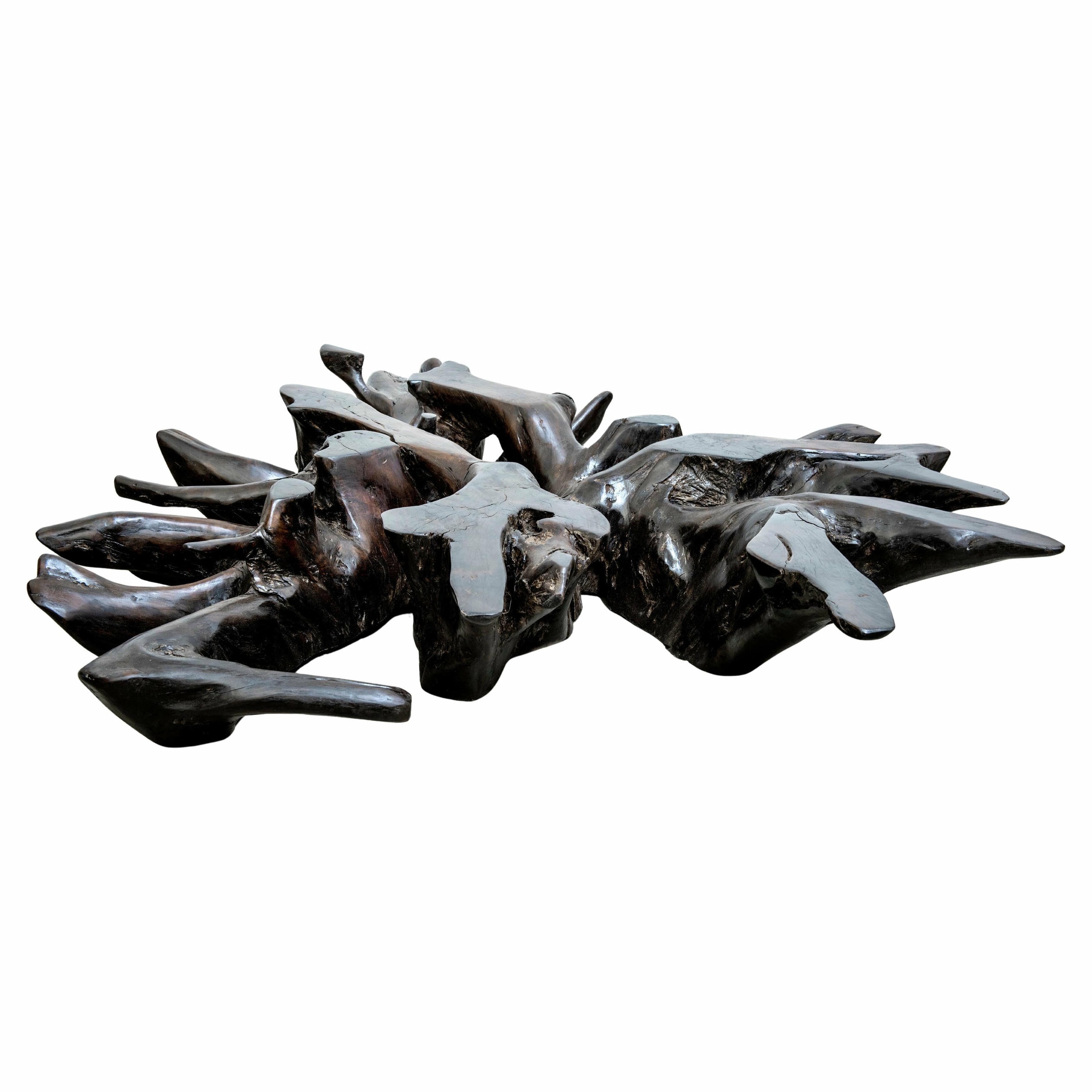 Maracá Base Coffee Table in Barauna Wood by Hugo França 1