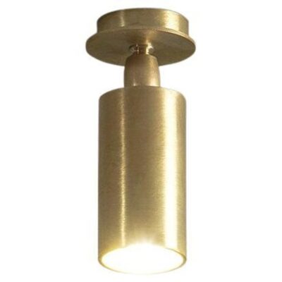 TF500 Ceiling Lamp in Satin Brass with an Adjustable Tubular Diffuser by Daluce