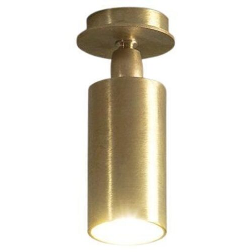 TF500 Ceiling Lamp in Satin Brass with an Adjustable Tubular Diffuser by Daluce 1