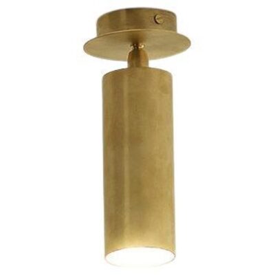 TF501 Ceiling Lamp in Satin Brass with an Orientable Tubular Diffuser by Daluce