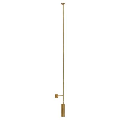TF511 Ceiling Lamp in Satin Brass with an Orientable Tubular Diffuser by Daluce