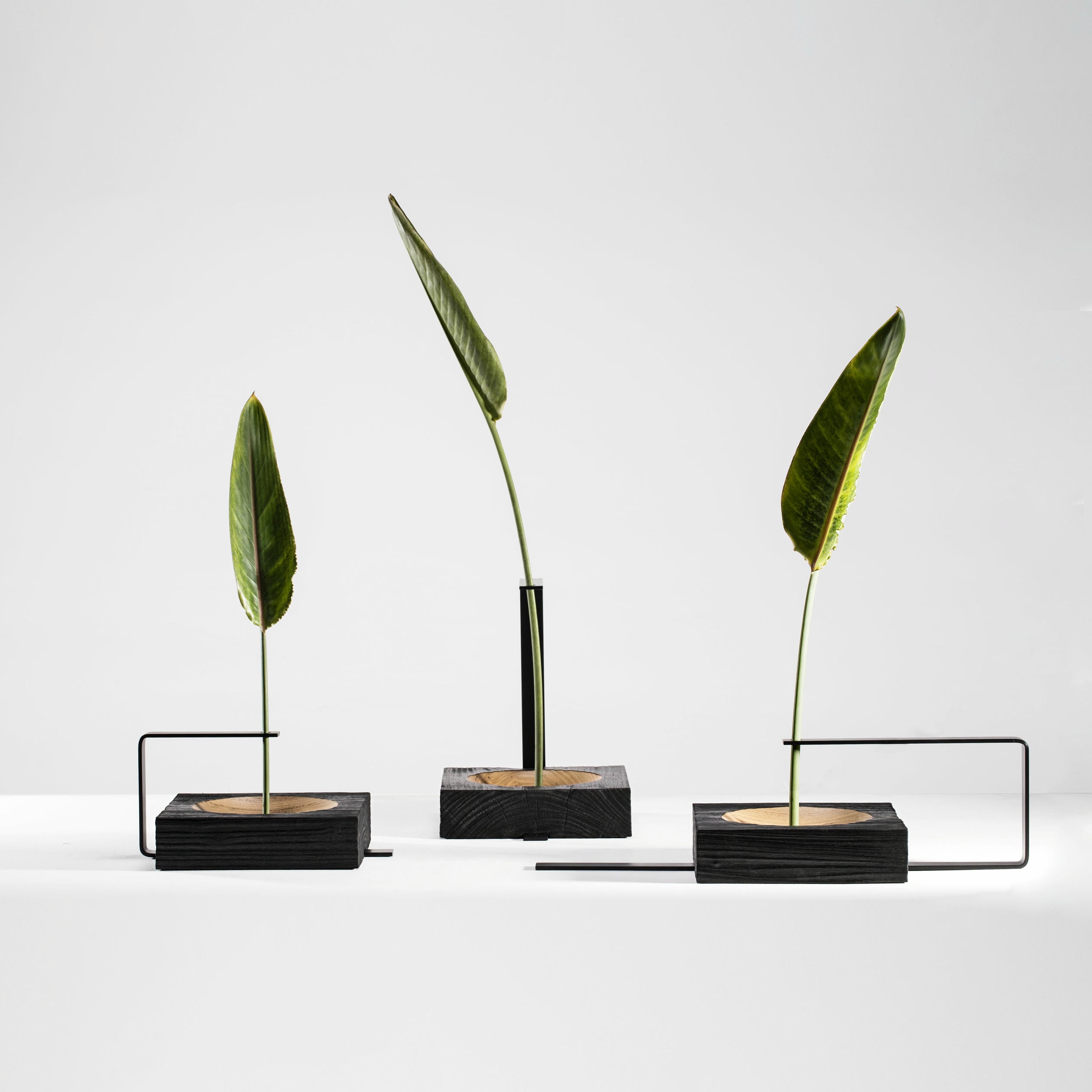Wood and Aluminum Vaso Torno by Atelier Andre Ferri 7