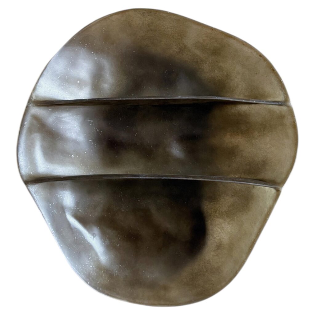 Moss Brown Formless Fiberglass Wall Shelf by kar 1