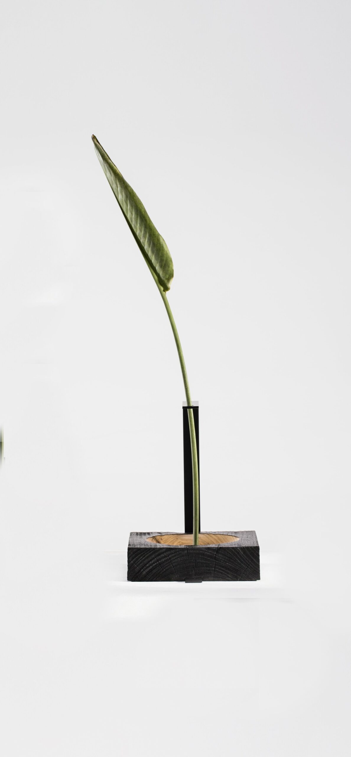 Set of 3 Wood and Aluminum Vaso Torno by Atelier Andre Ferri 3