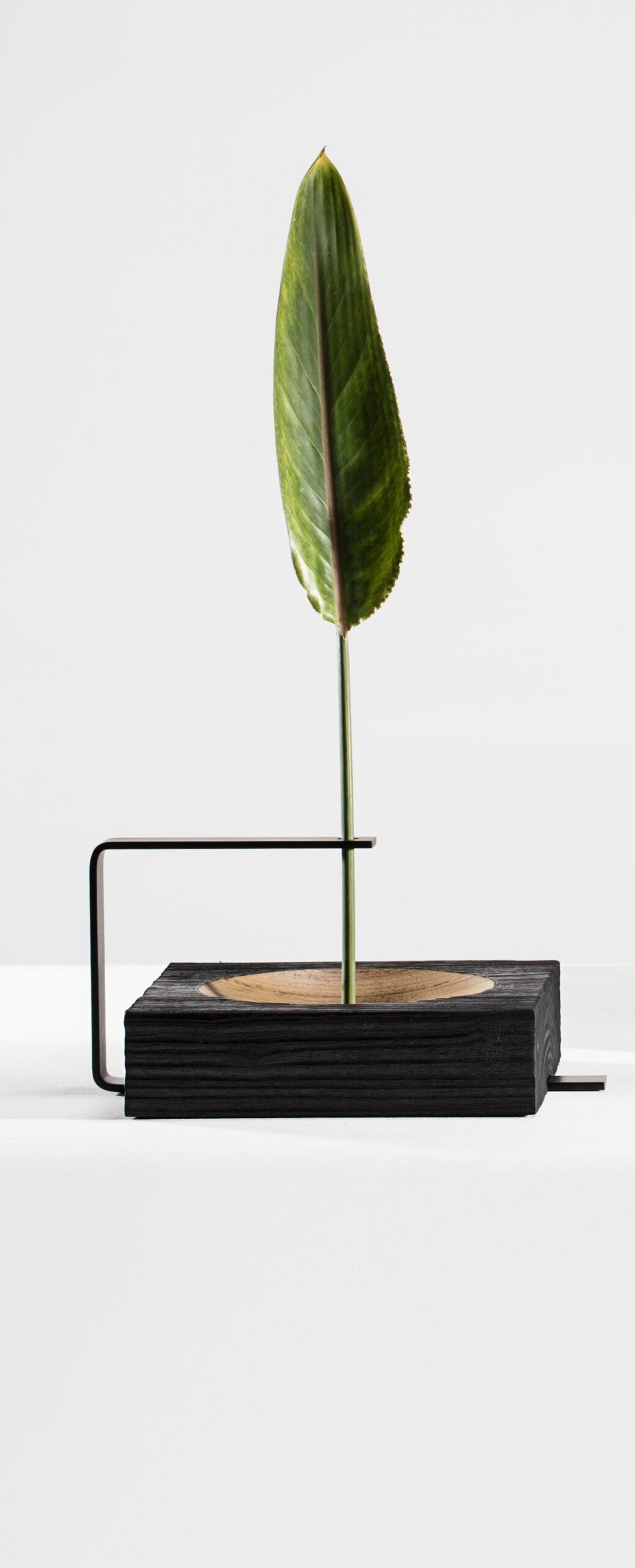 Set of 3 Wood and Aluminum Vaso Torno by Atelier Andre Ferri 4