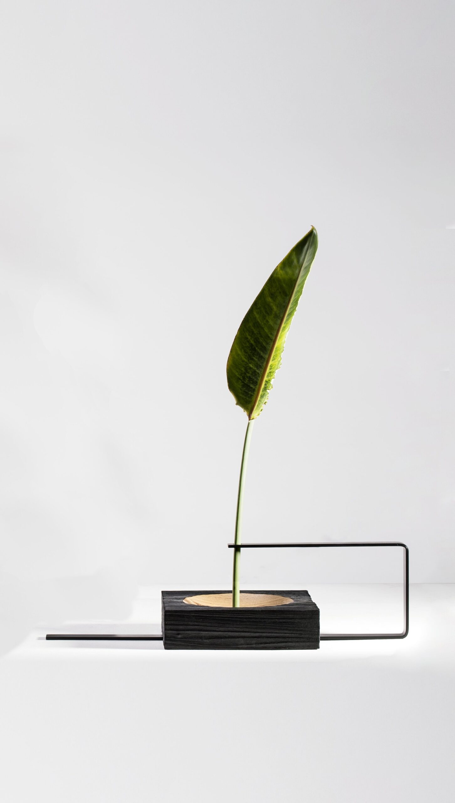 Set of 3 Wood and Aluminum Vaso Torno by Atelier Andre Ferri 5