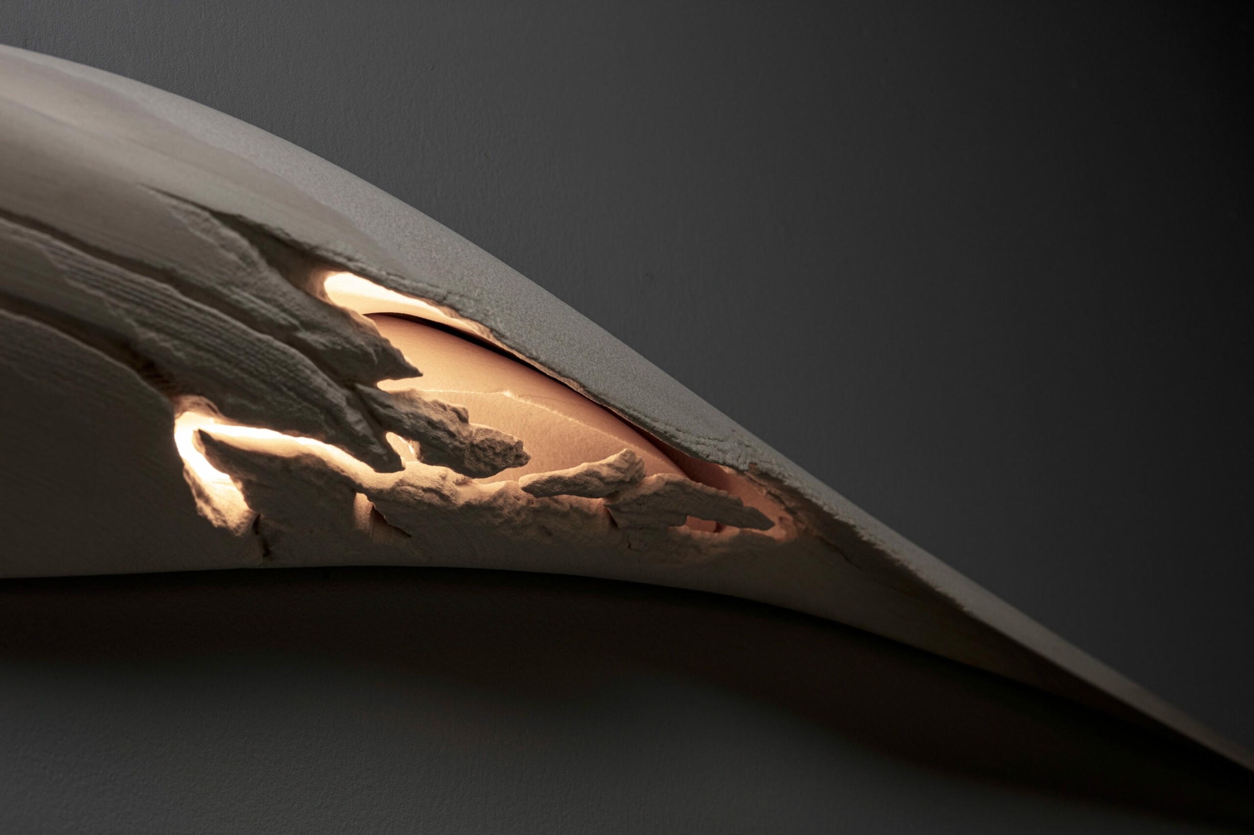 Eclosion Wall Mounted Luminary Sculpture in Eroded Sycamore by Tor Rothschild 5
