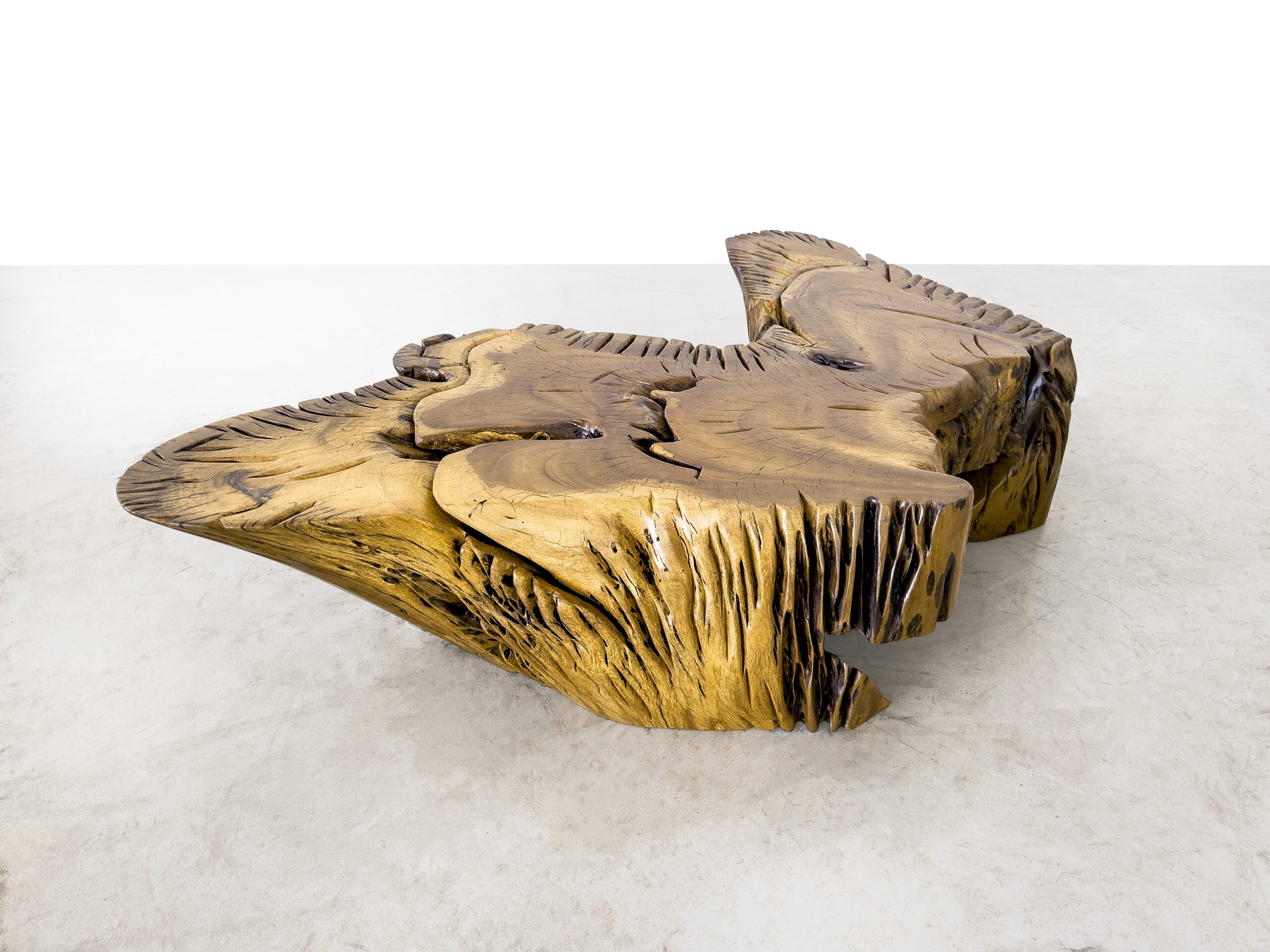 Mesa Tapuama_Paula Tochiro