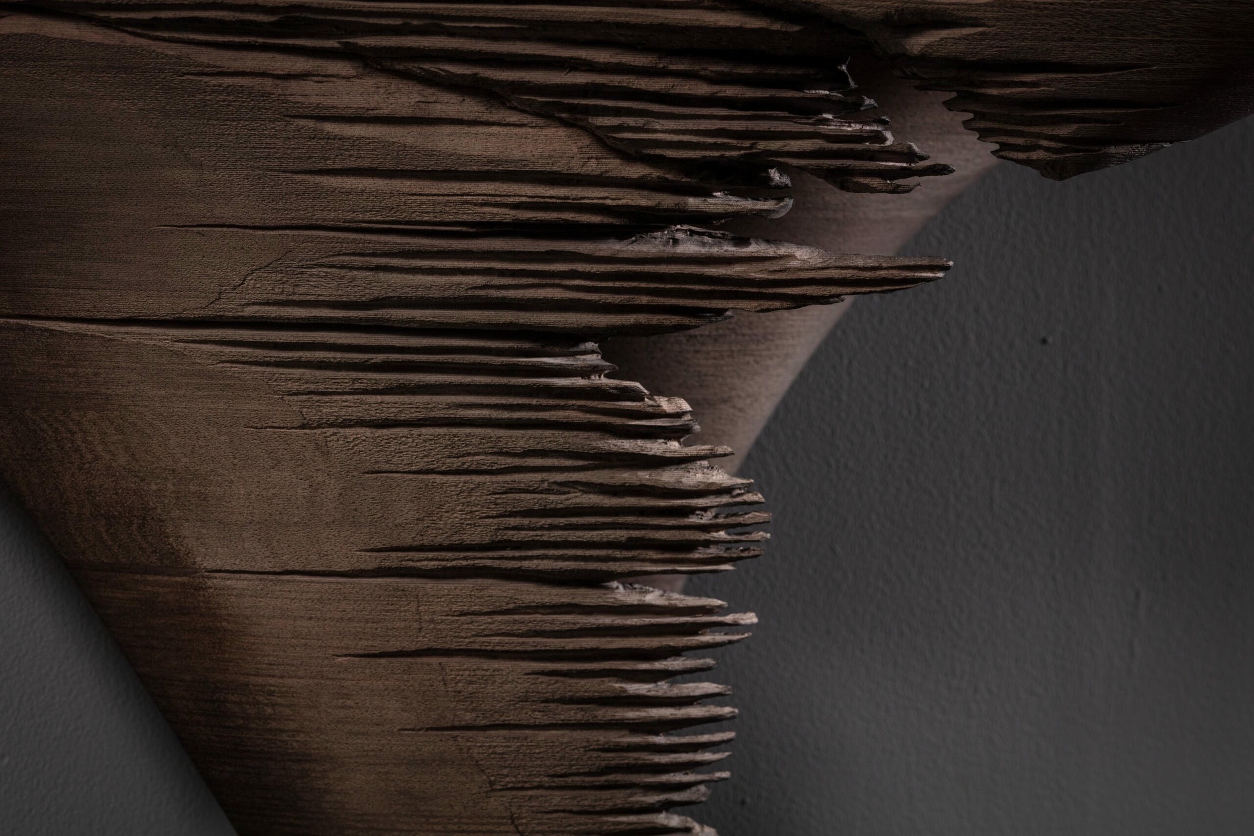 Ventus Hand Sculpted Console Table in Eroded American Walnut by Tor Rothschild 7