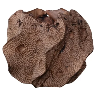 Drift Teak Wood Vase by Mary Verspoor