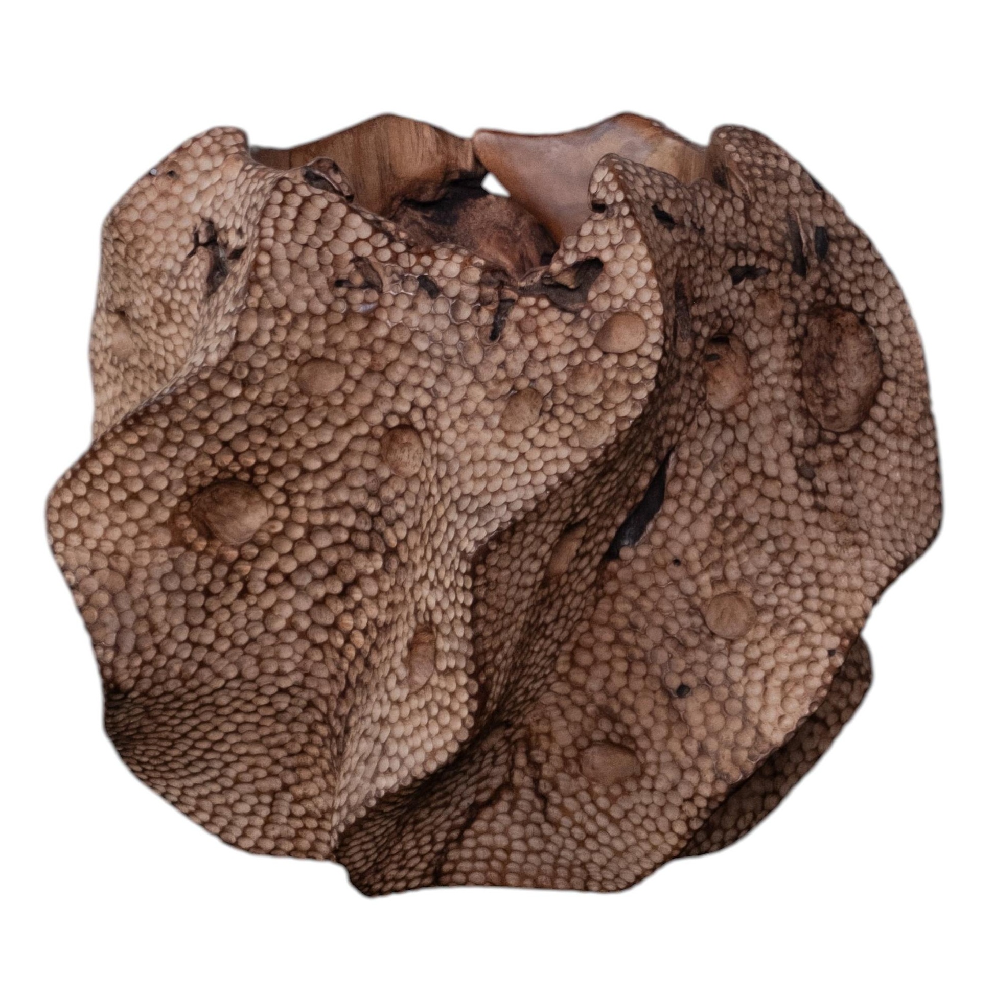Drift Teak Wood Vase by Mary Verspoor 1