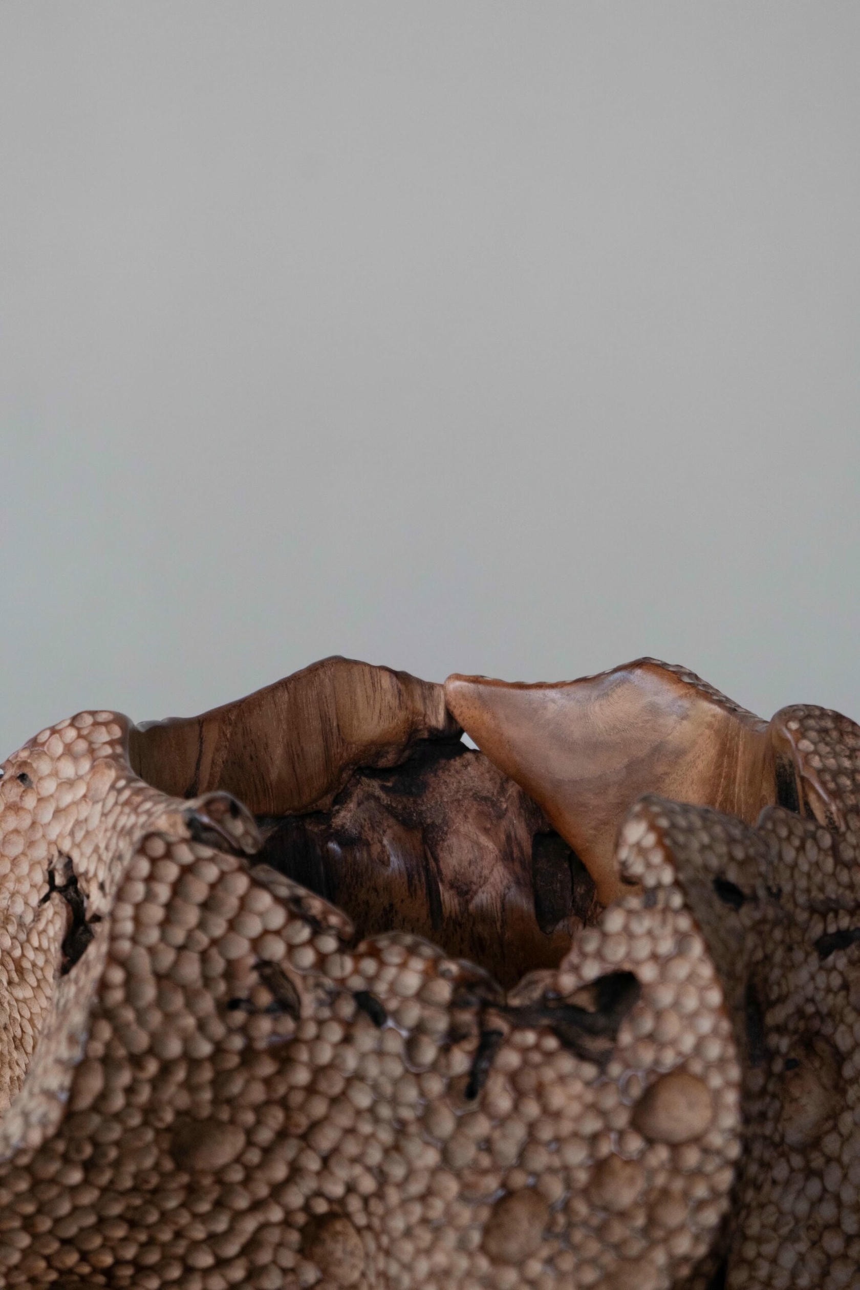 Drift Teak Wood Vase by Mary Verspoor 6