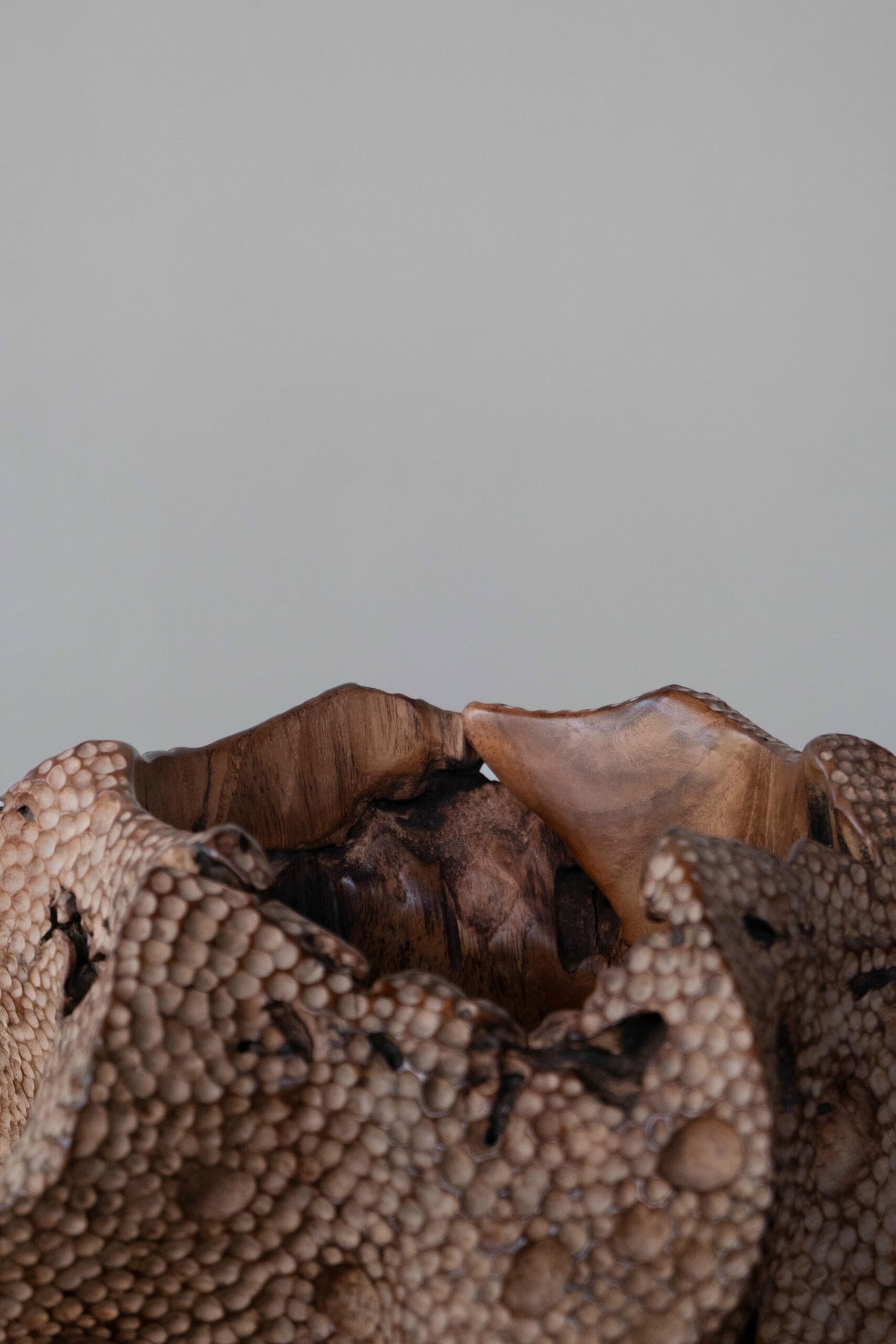 Drift Teak Wood Vase by Mary Verspoor 6
