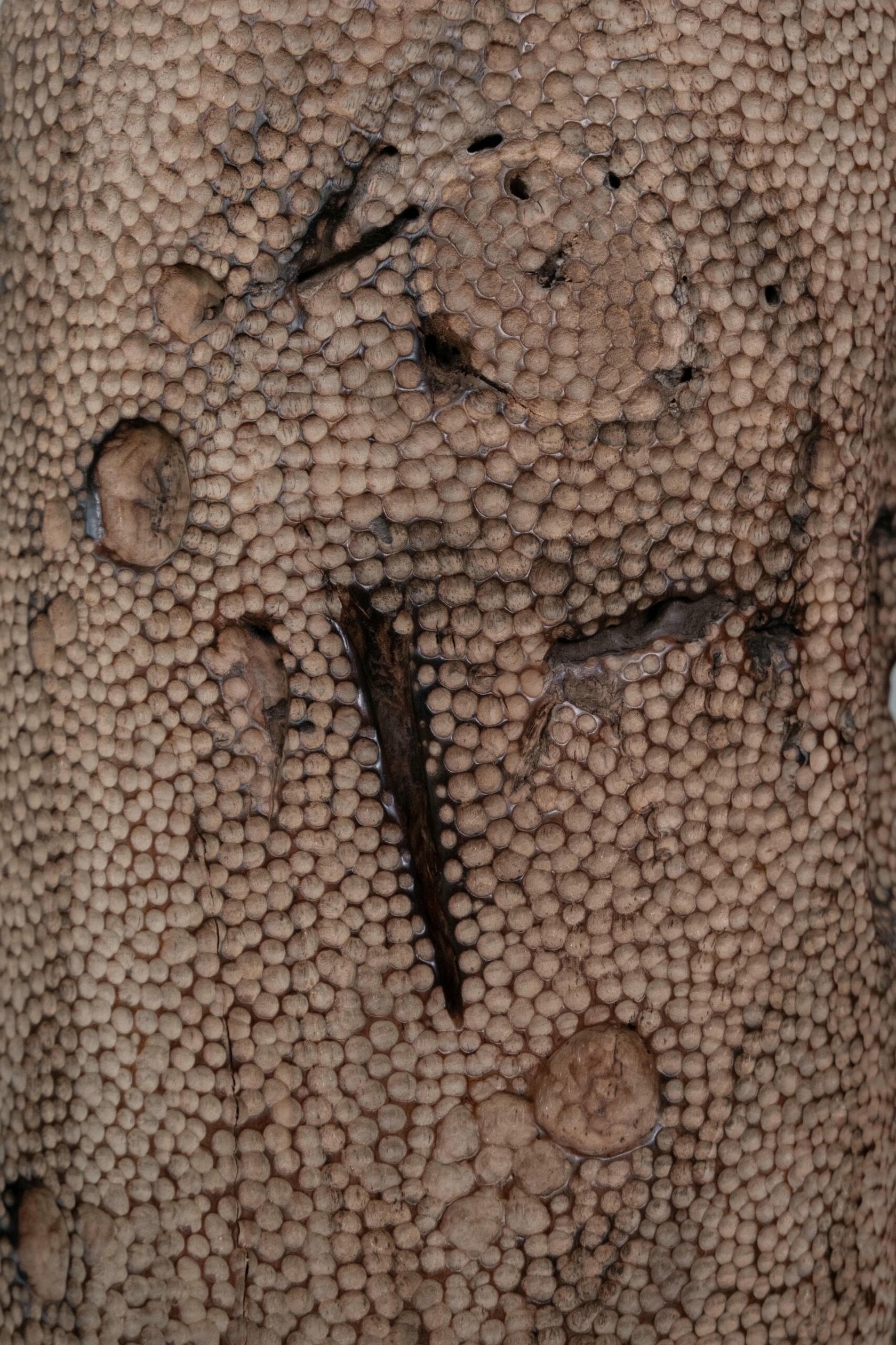 Emerge Teak Wood Vase by Mary Verspoor 6
