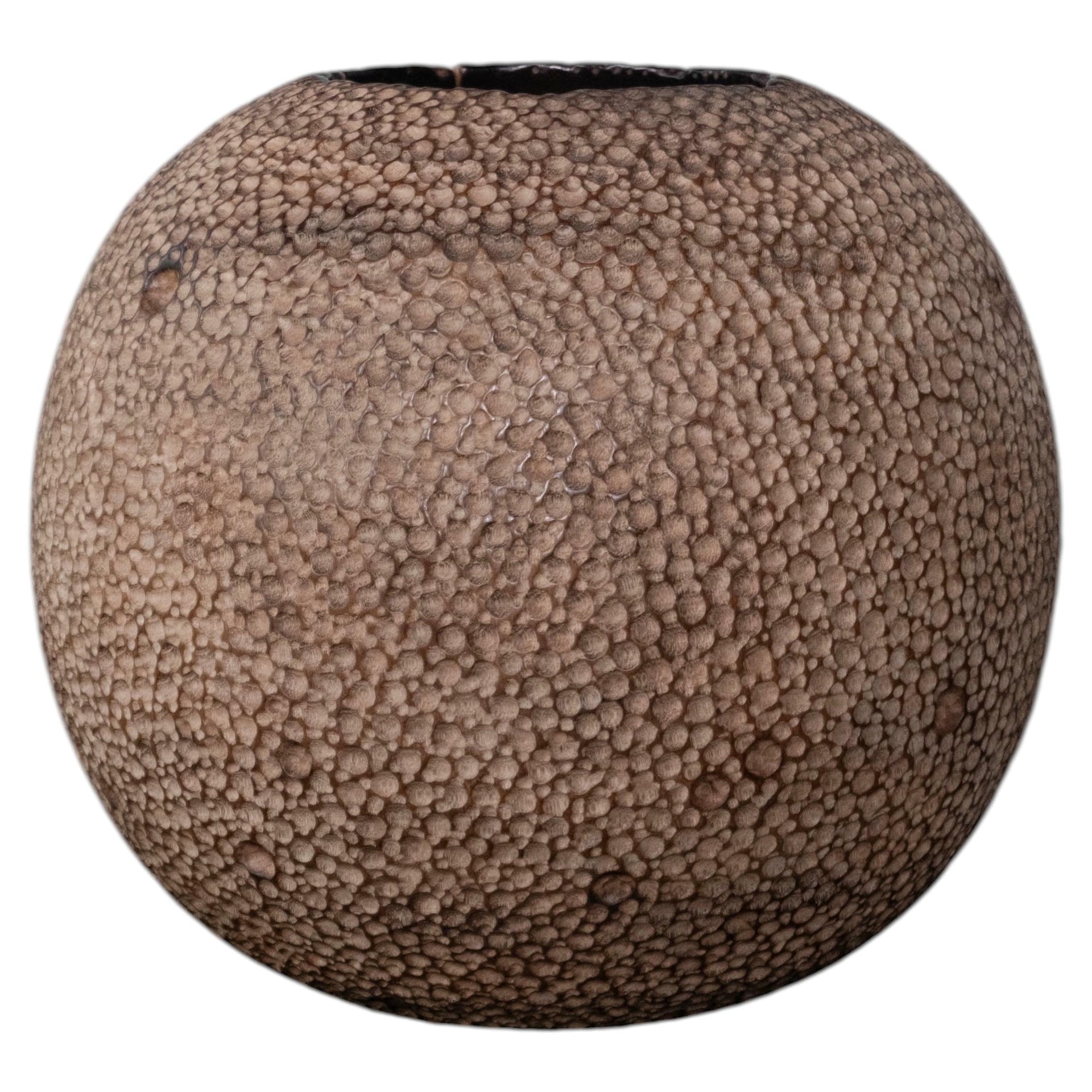 Sphere Suar Wood Vase by Mary Verspoor 1