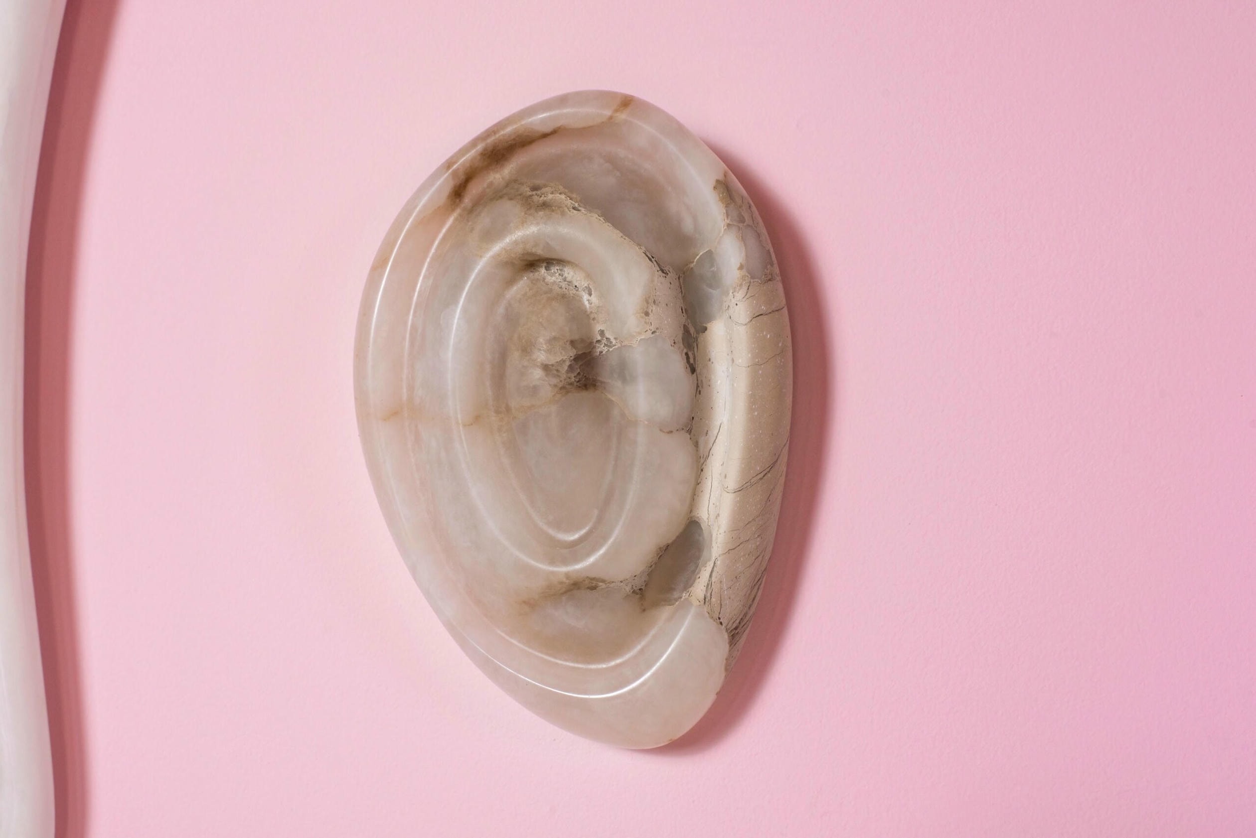 Aqua Fossil Wall Light Lamp in Alabaster by Amarist Studio 11