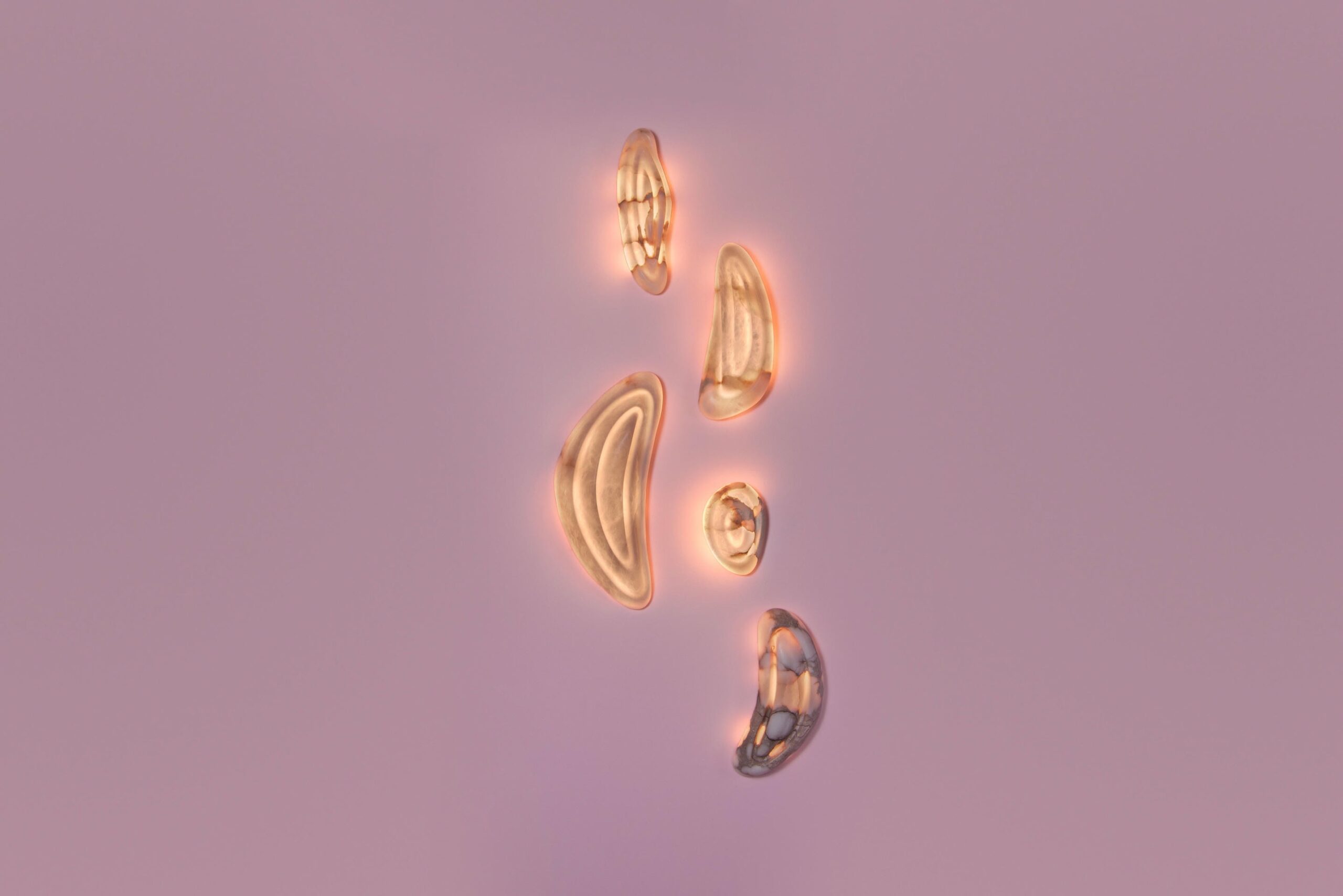 Aqua Fossil Wall Light Lamp in Alabaster by Amarist Studio 12
