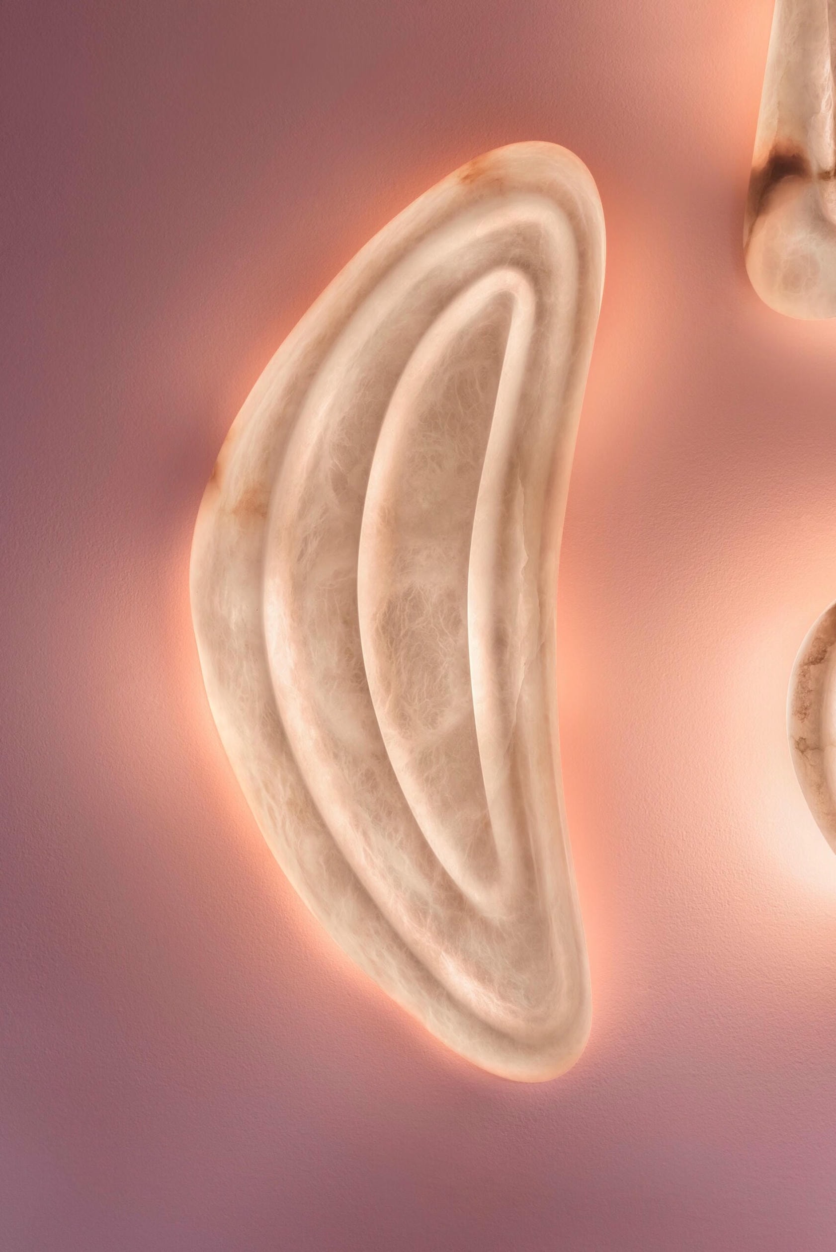Aqua Fossil Wall Light Lamp in Alabaster by Amarist Studio 7