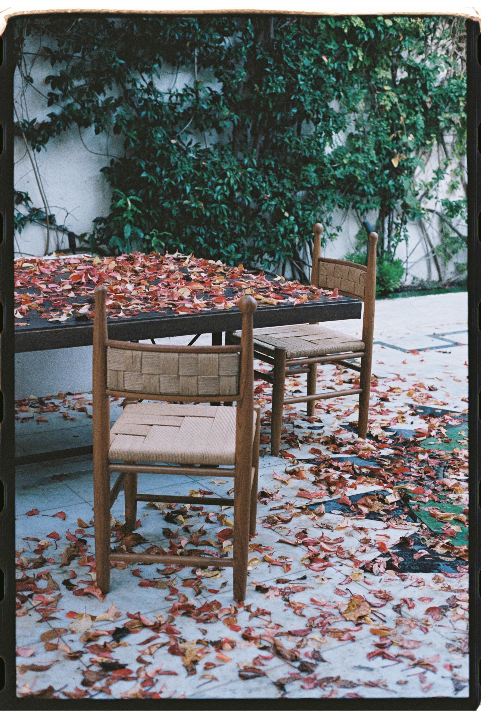 Pitufi Teak Wood Low Dining Chair by Heaps Woods 9