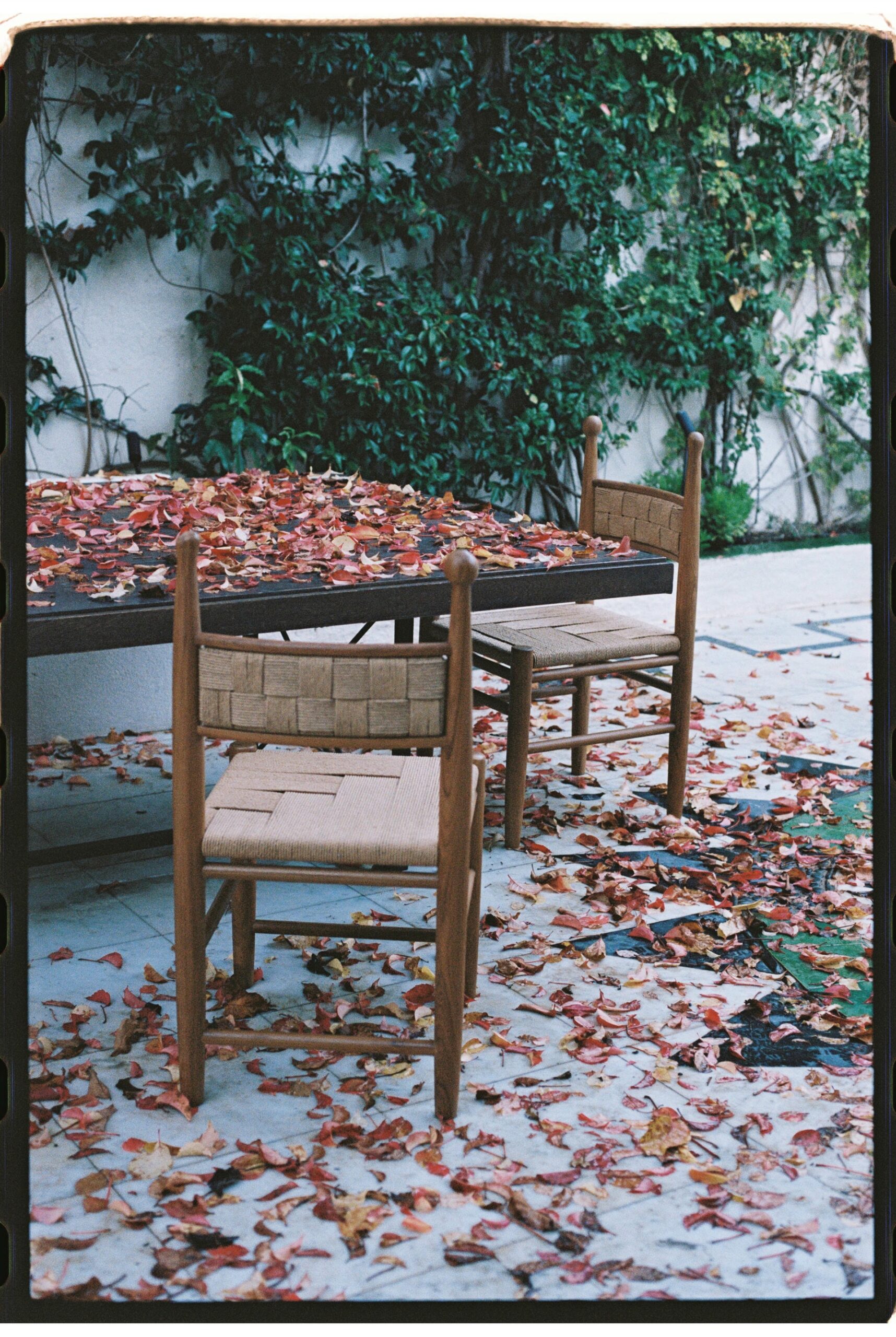 Pitufi Teak Wood Low Dining Chair by Heaps & Woods 9