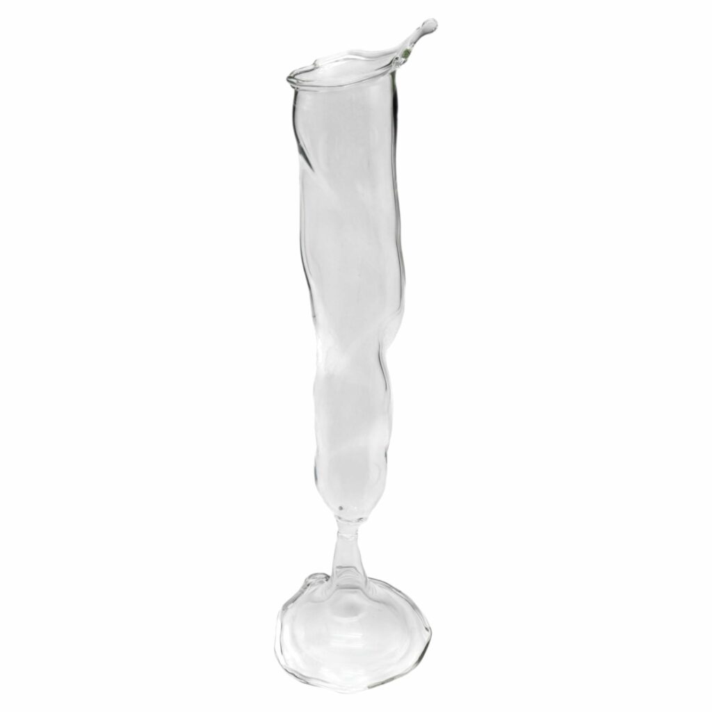 Fluid Loop Series Flow Champagne Glass in Borosilicate Glass by Studio Chacha 1