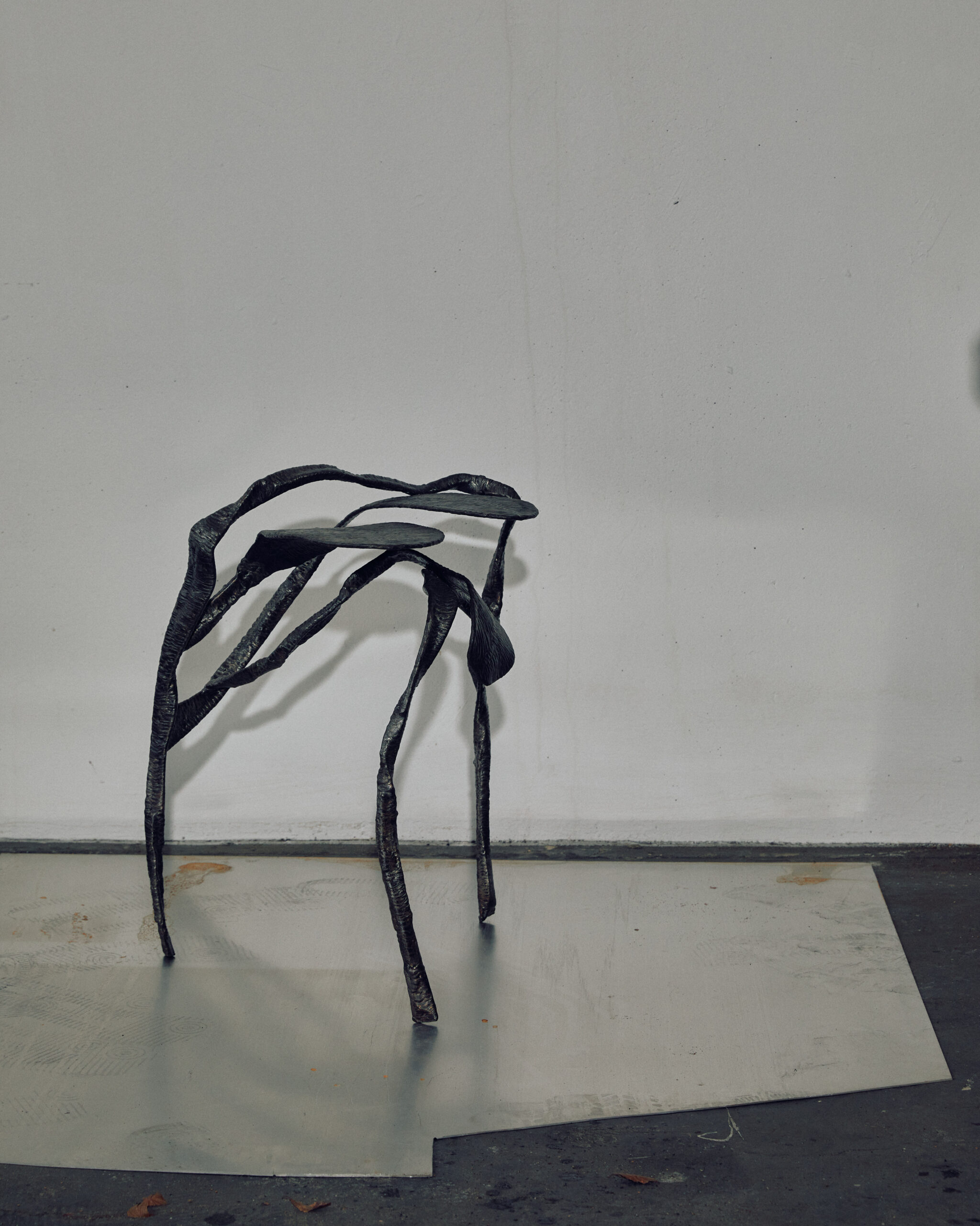 Michael Gittings_Eden Broadleaf Sidetable_Photography by Annika Kafcaloudis_3 scaled 1.jpg