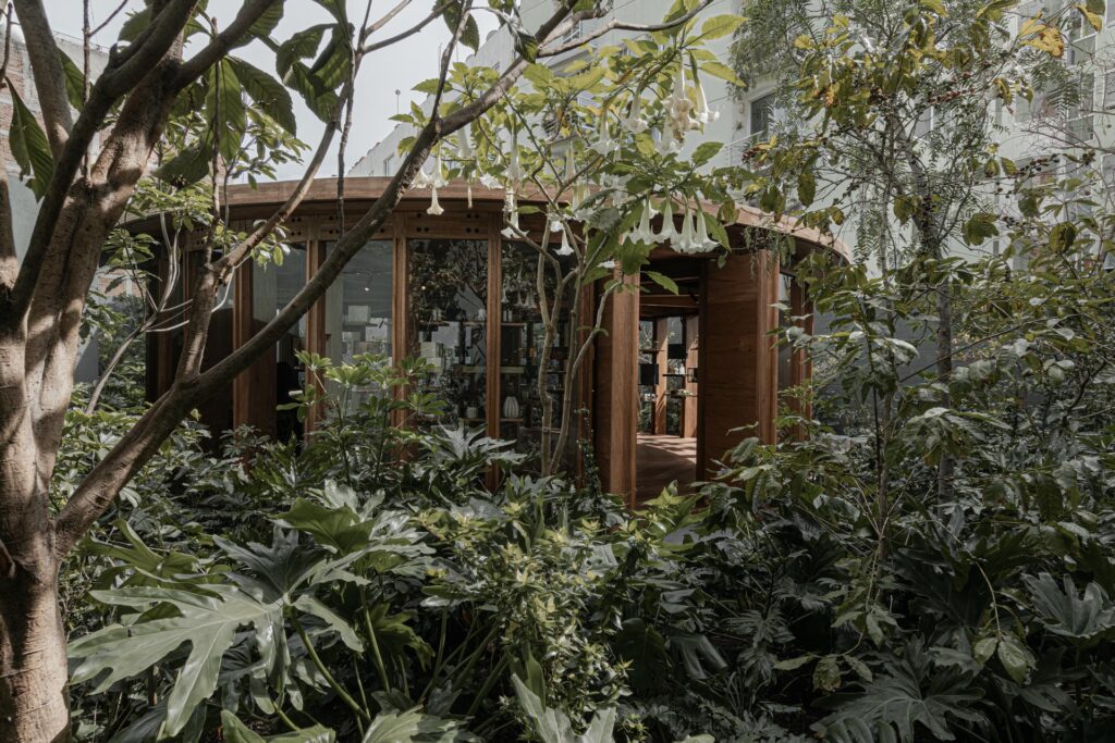 Esrawe Studio 5