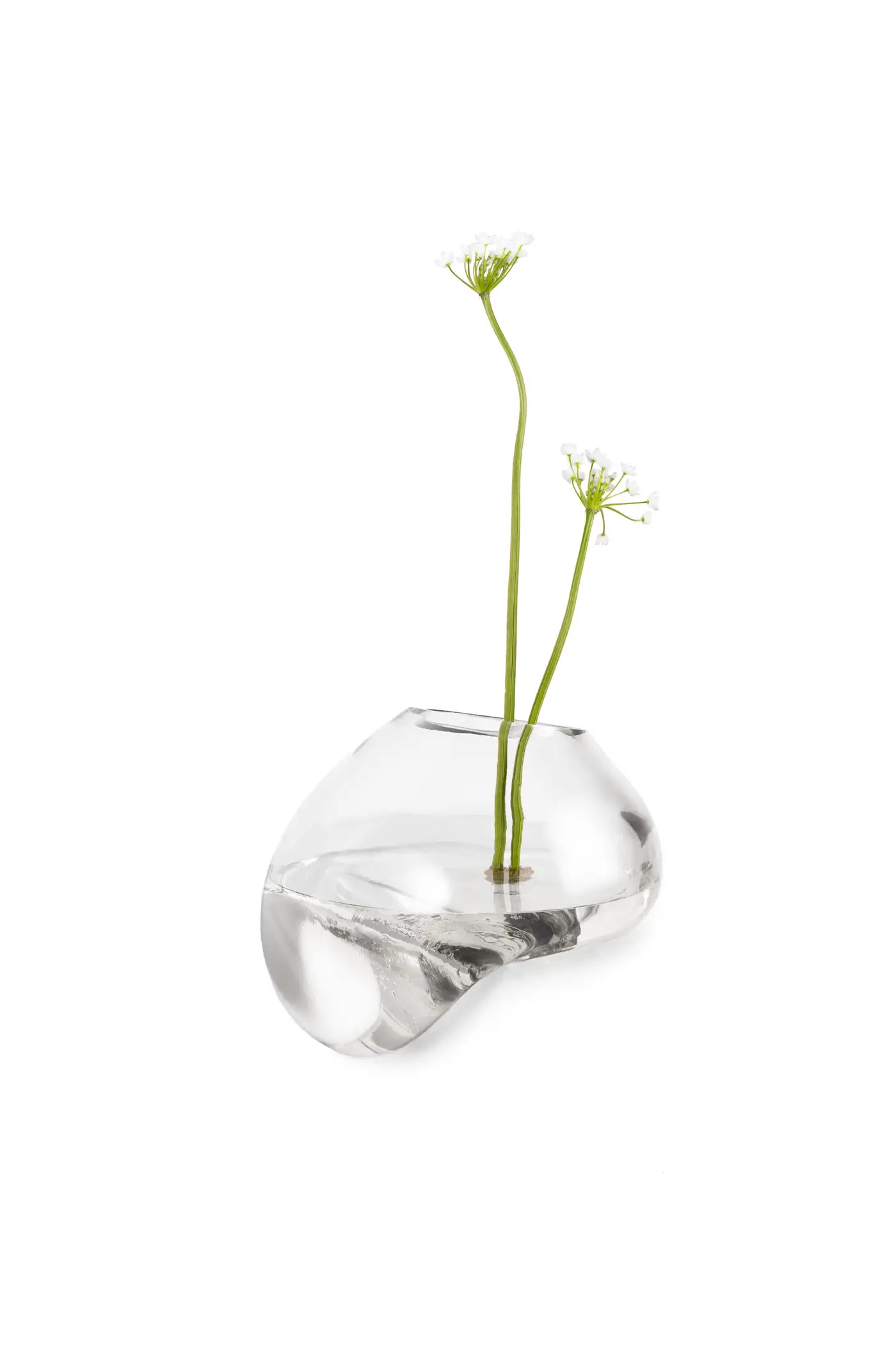 Gutta Vase CS1 by NOOM 2