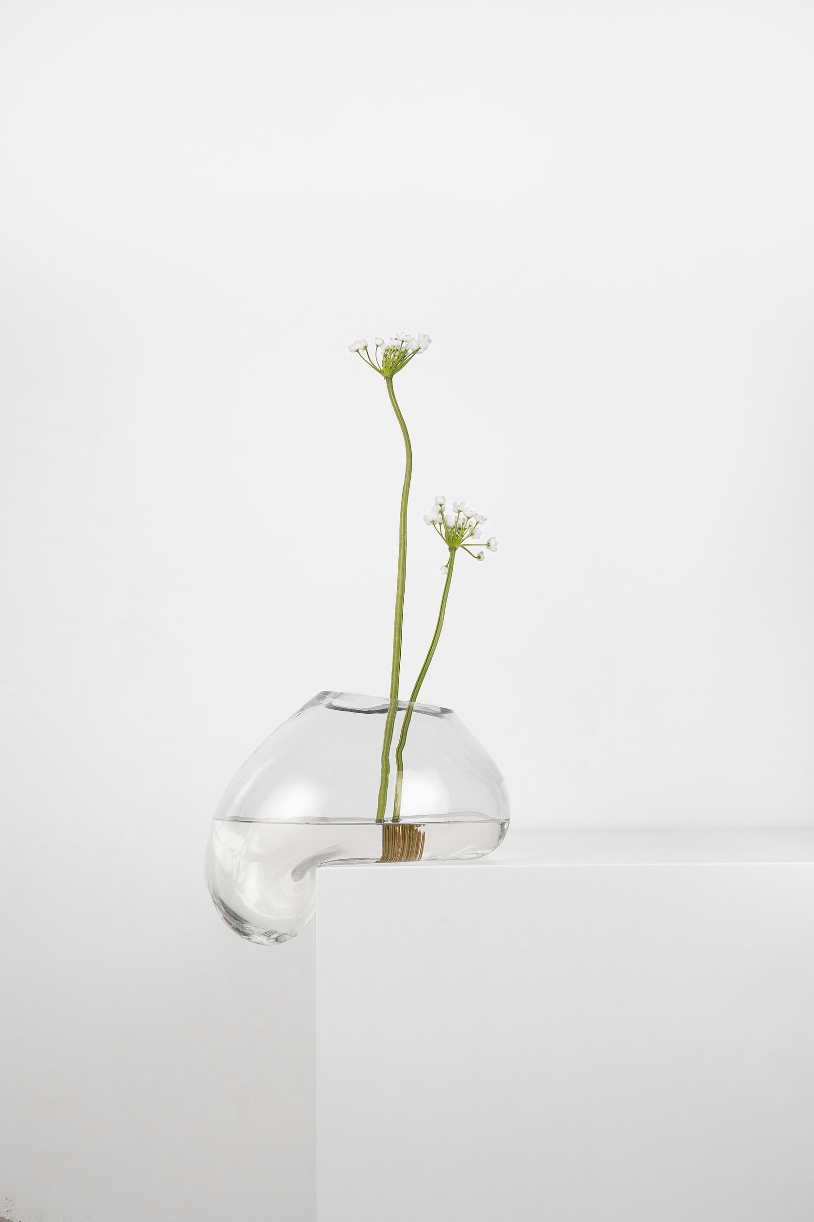 Gutta Vase CS1 by NOOM 3