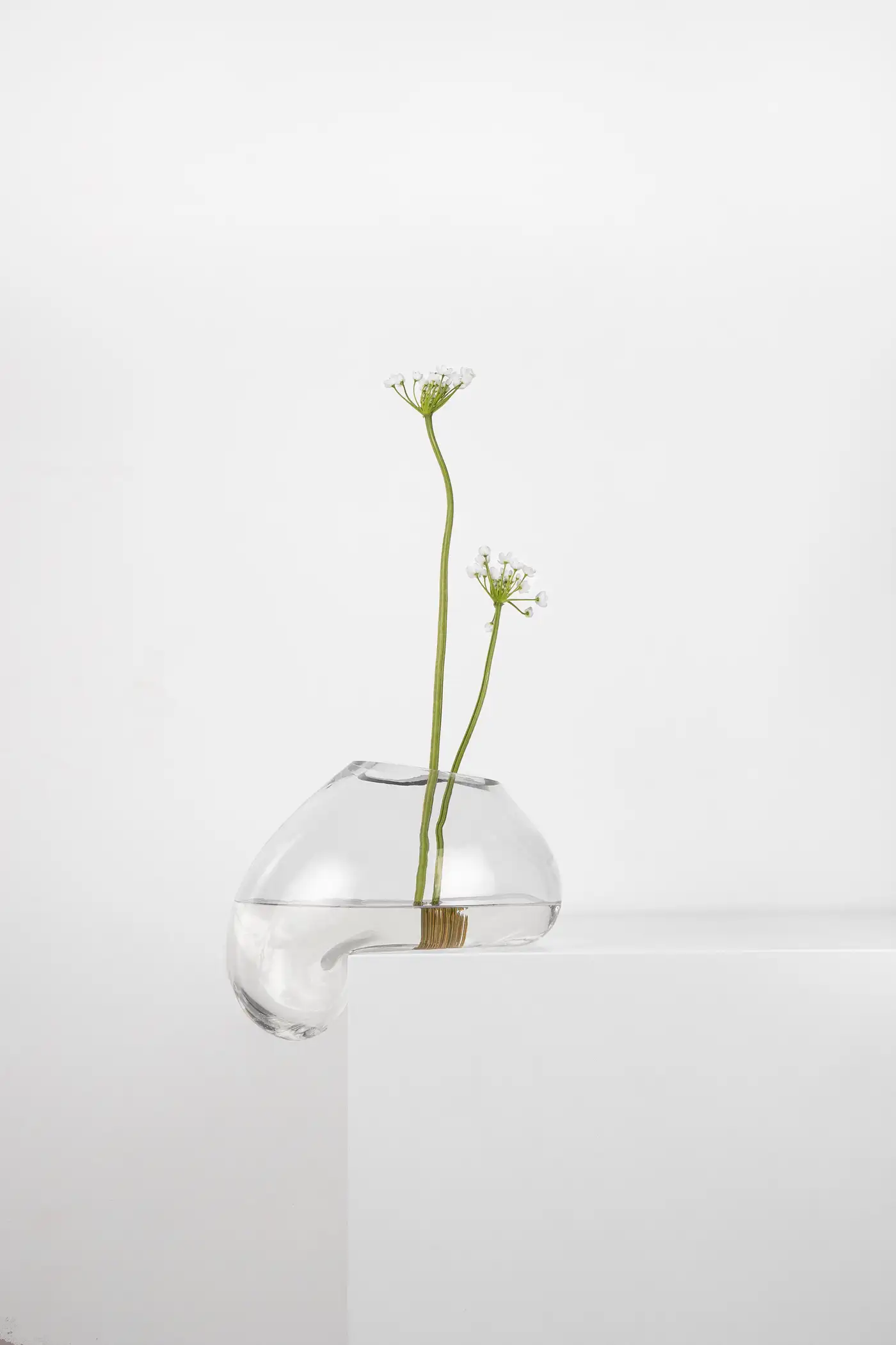 Gutta Vase CS1 by NOOM 3