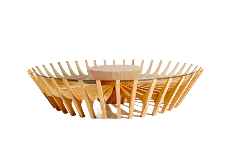 Dora Coffee Table in Brazilian Native Hardwood by Gisela Simas 1