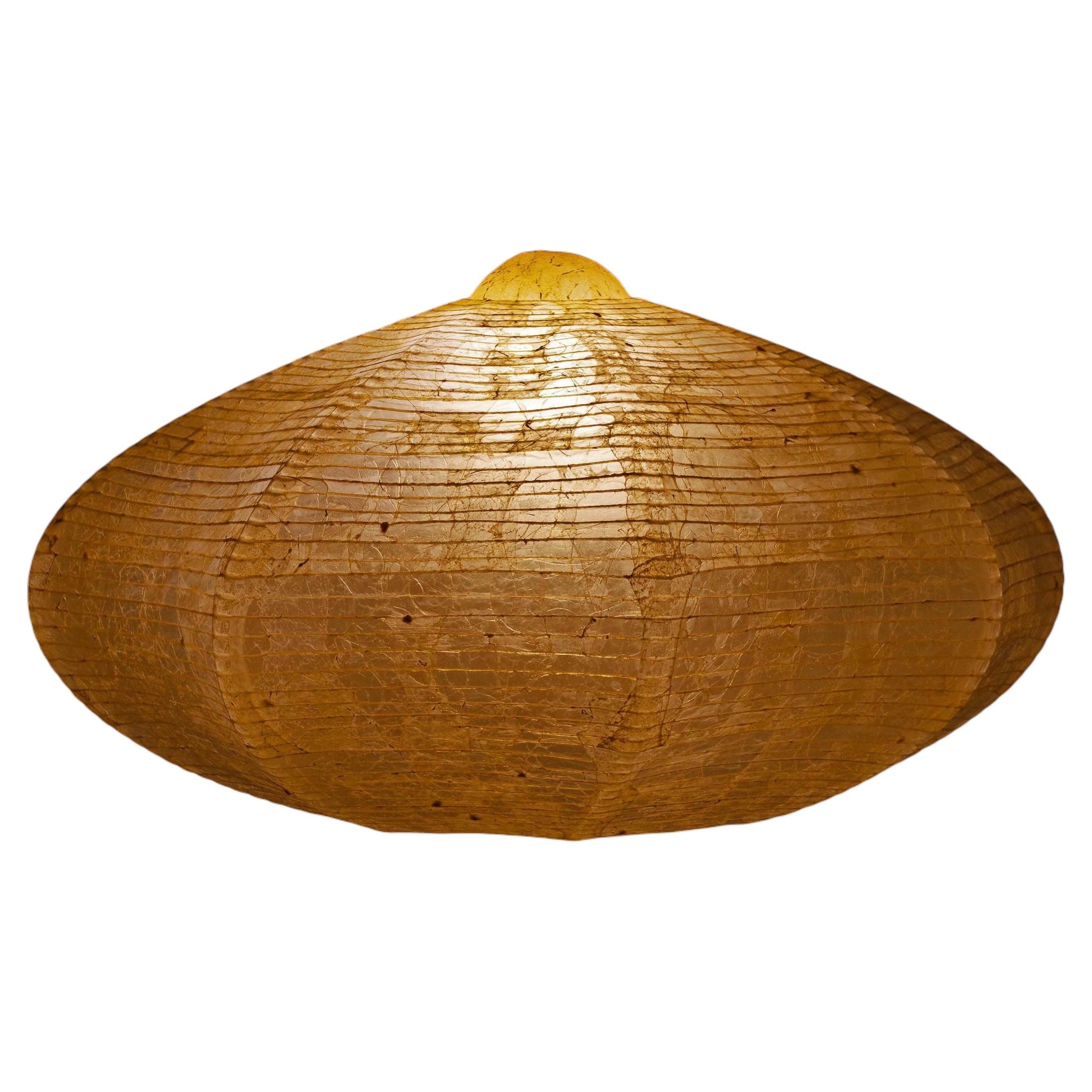 Holm Pendant Lamp in Bio Material with Natural Dyes by Thibault Philip 1