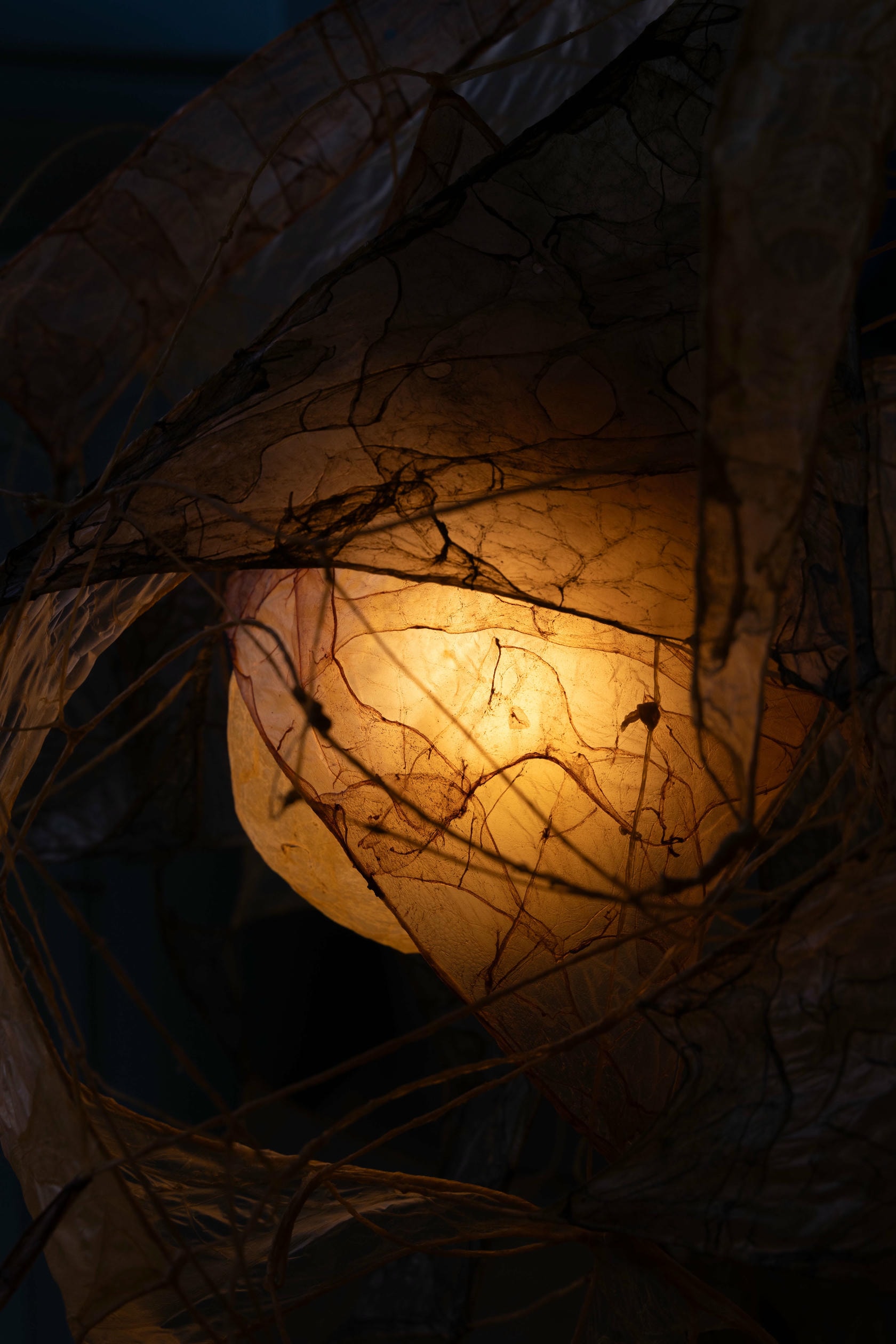 Louvanes Chandelier Lamp in Bio Material with Natural Dyes by Thibault Philip 4