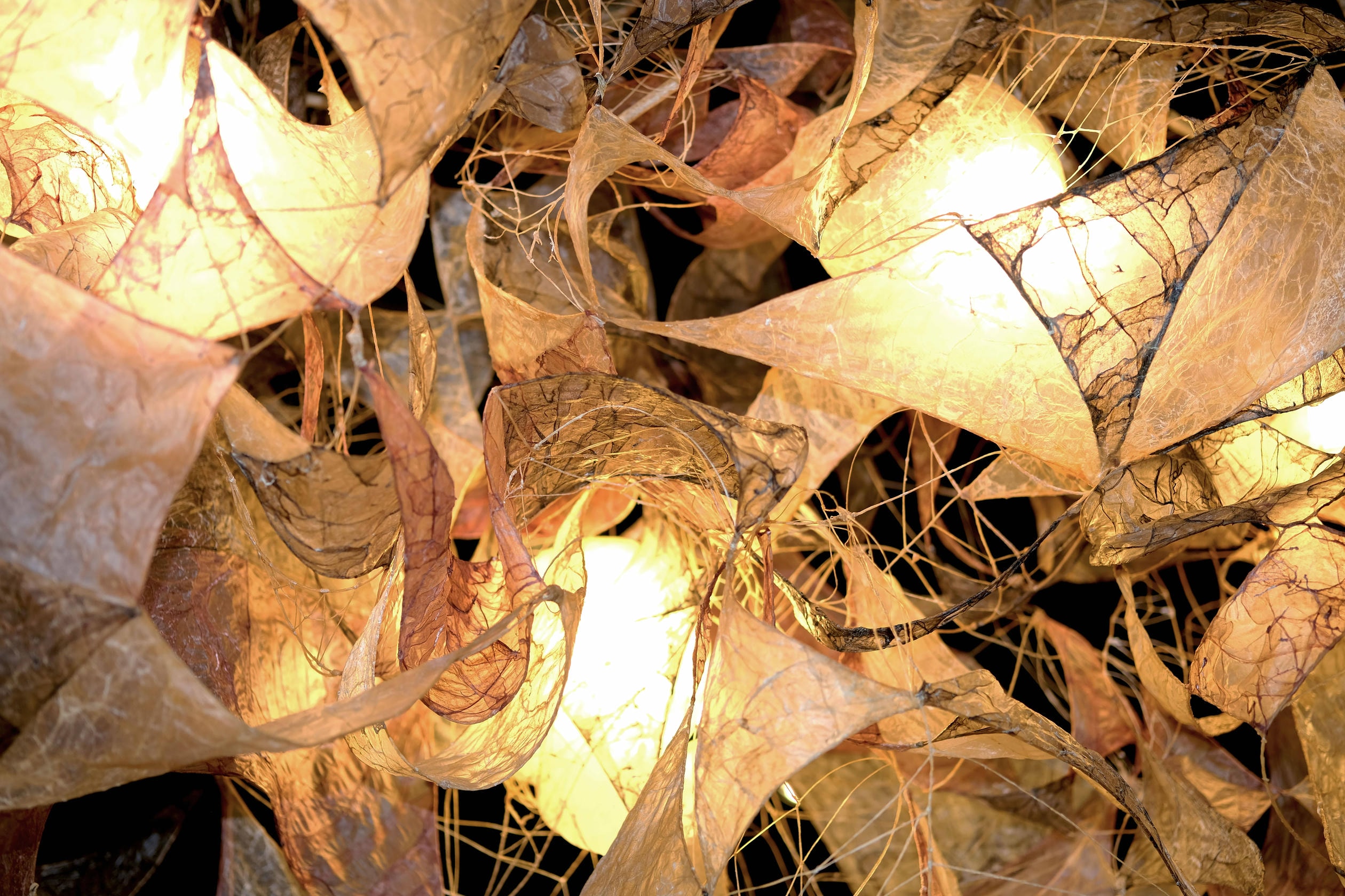 Louvanes Chandelier Lamp in Bio Material with Natural Dyes by Thibault Philip 5