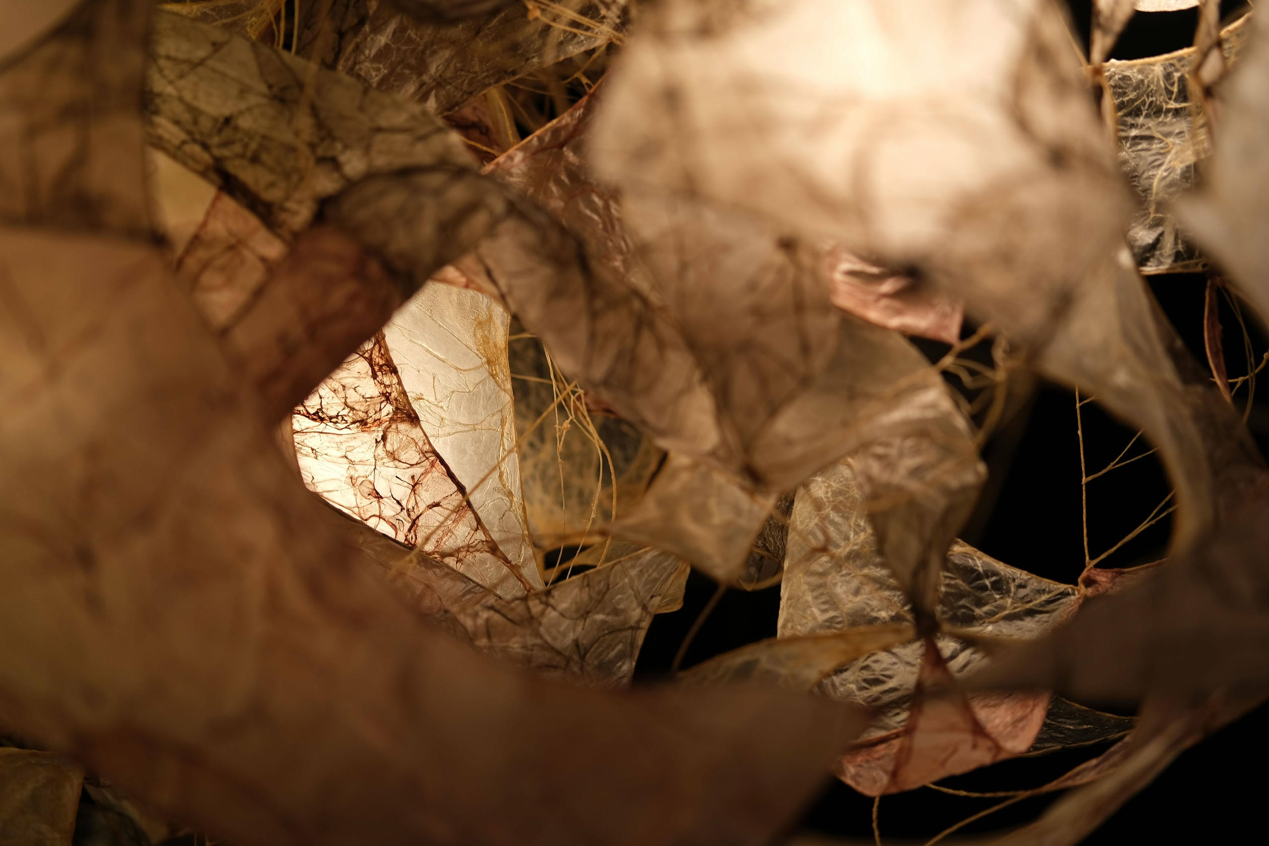 Louvanes Chandelier Lamp in Bio Material with Natural Dyes by Thibault Philip 6