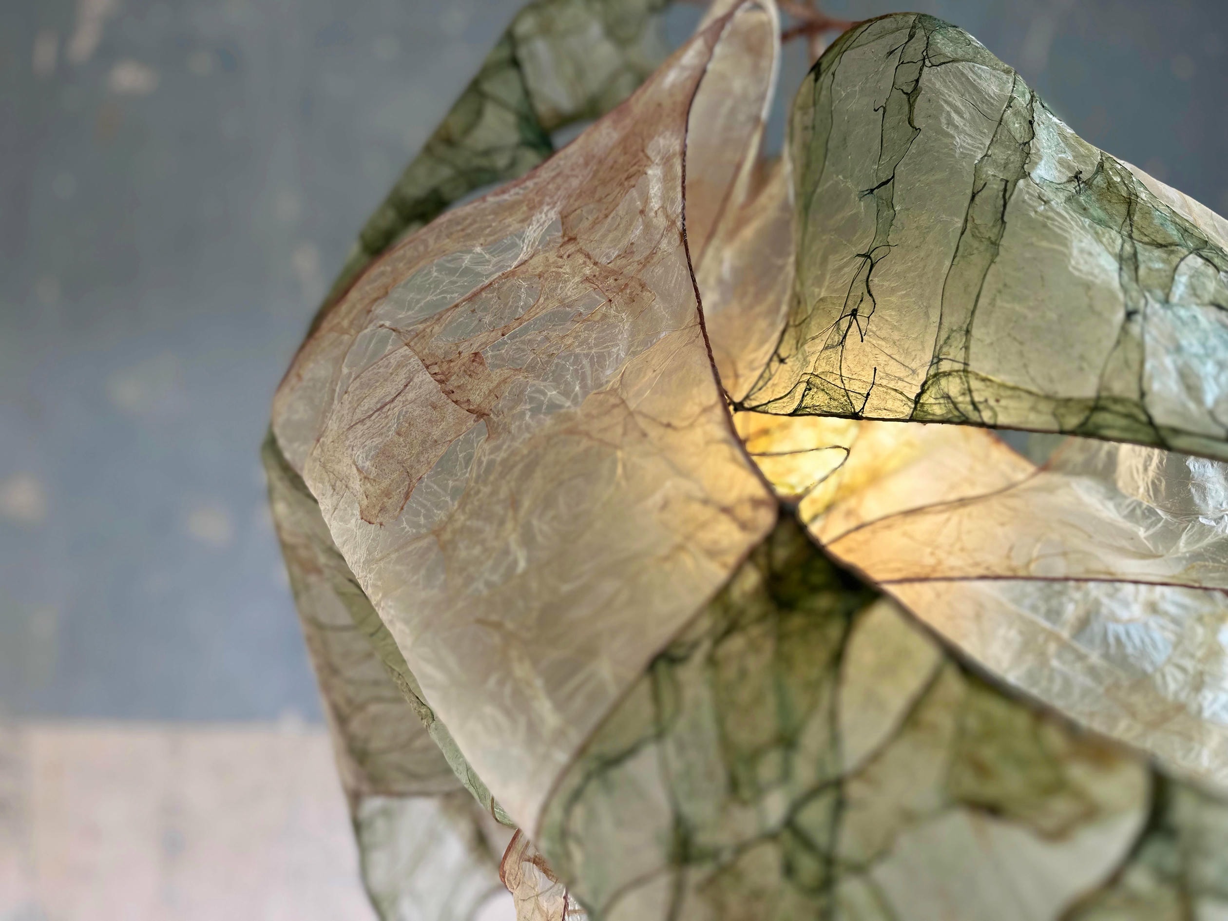 Multi Leonard Pendant Lamp in Bio Material with Natural Dyes by Thibault Philip 3