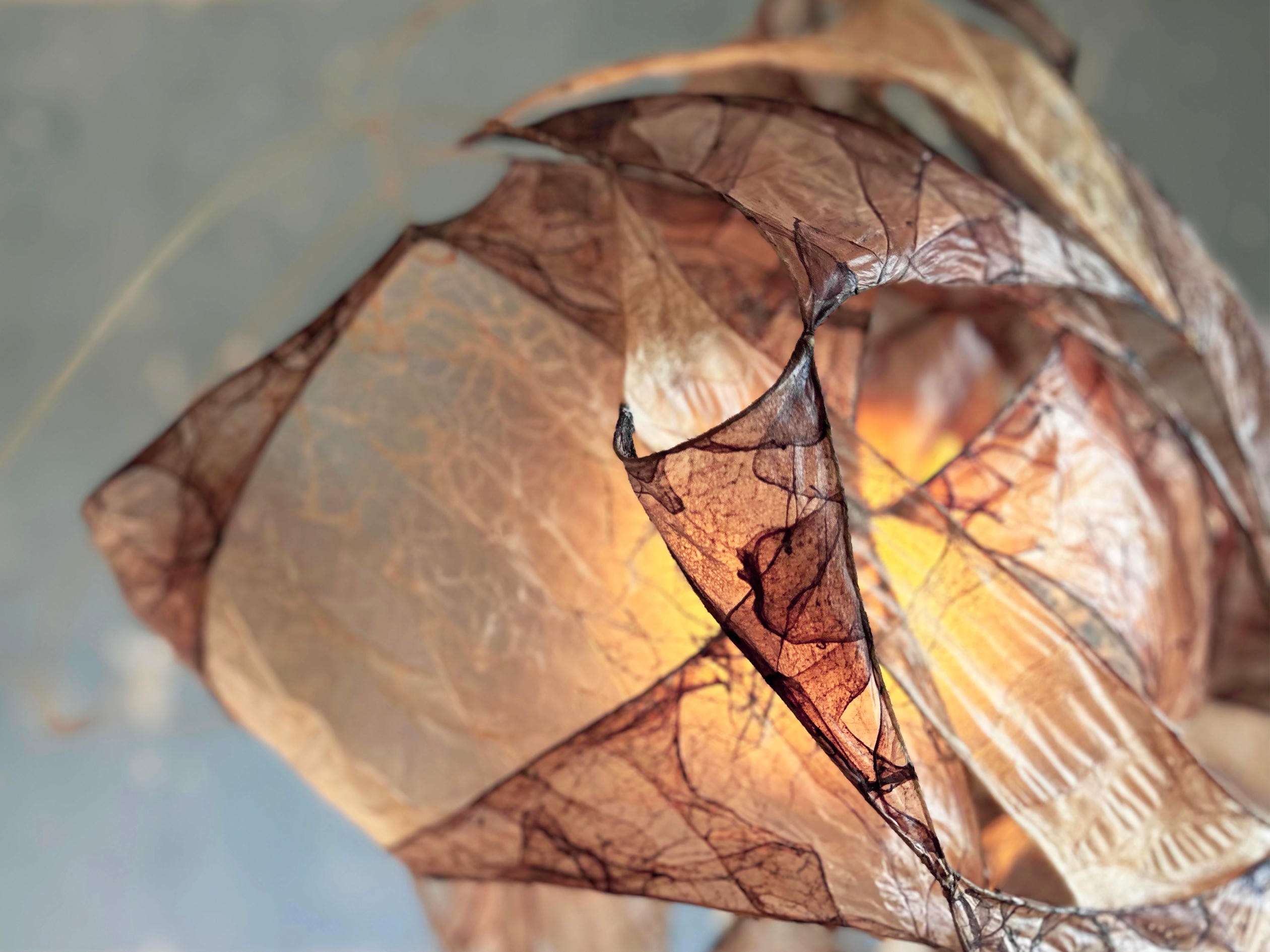Multi Purple Pendant Lamp in Bio Material with Natural Dyes by Thibault Philip 4